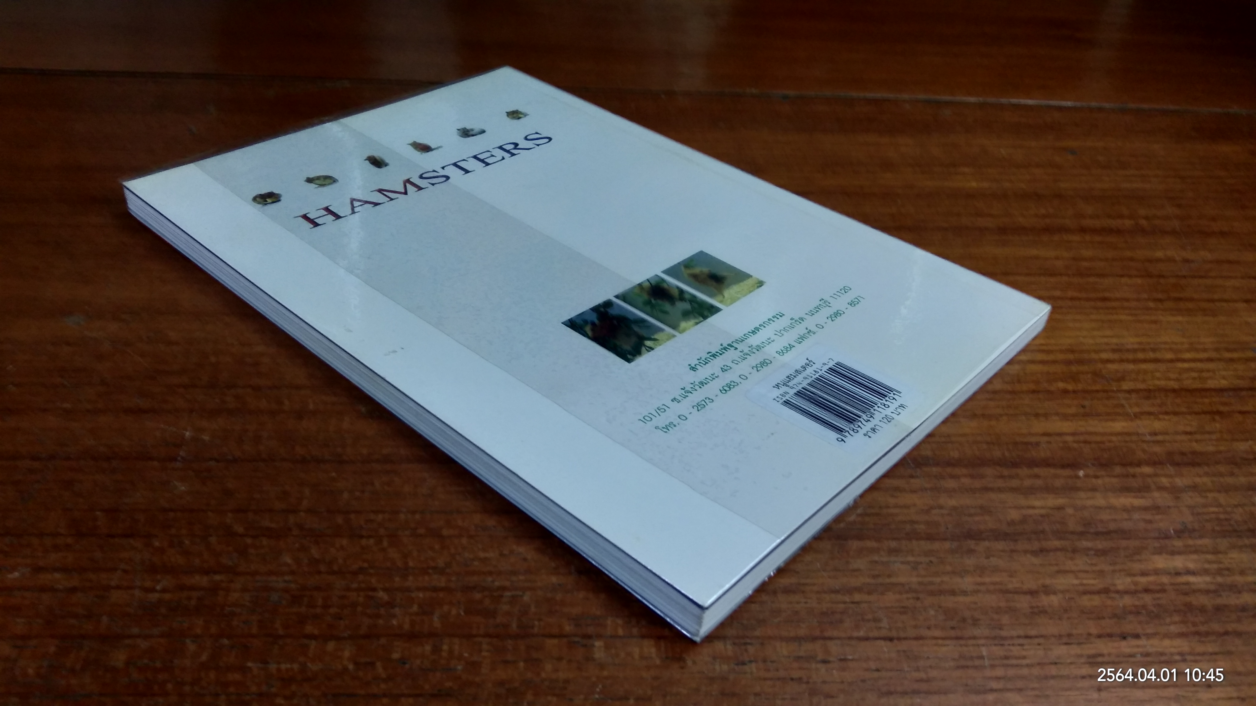 หนูแฮมสเตอร์ / กณิกนันต์ ลีฬฆวรรณ