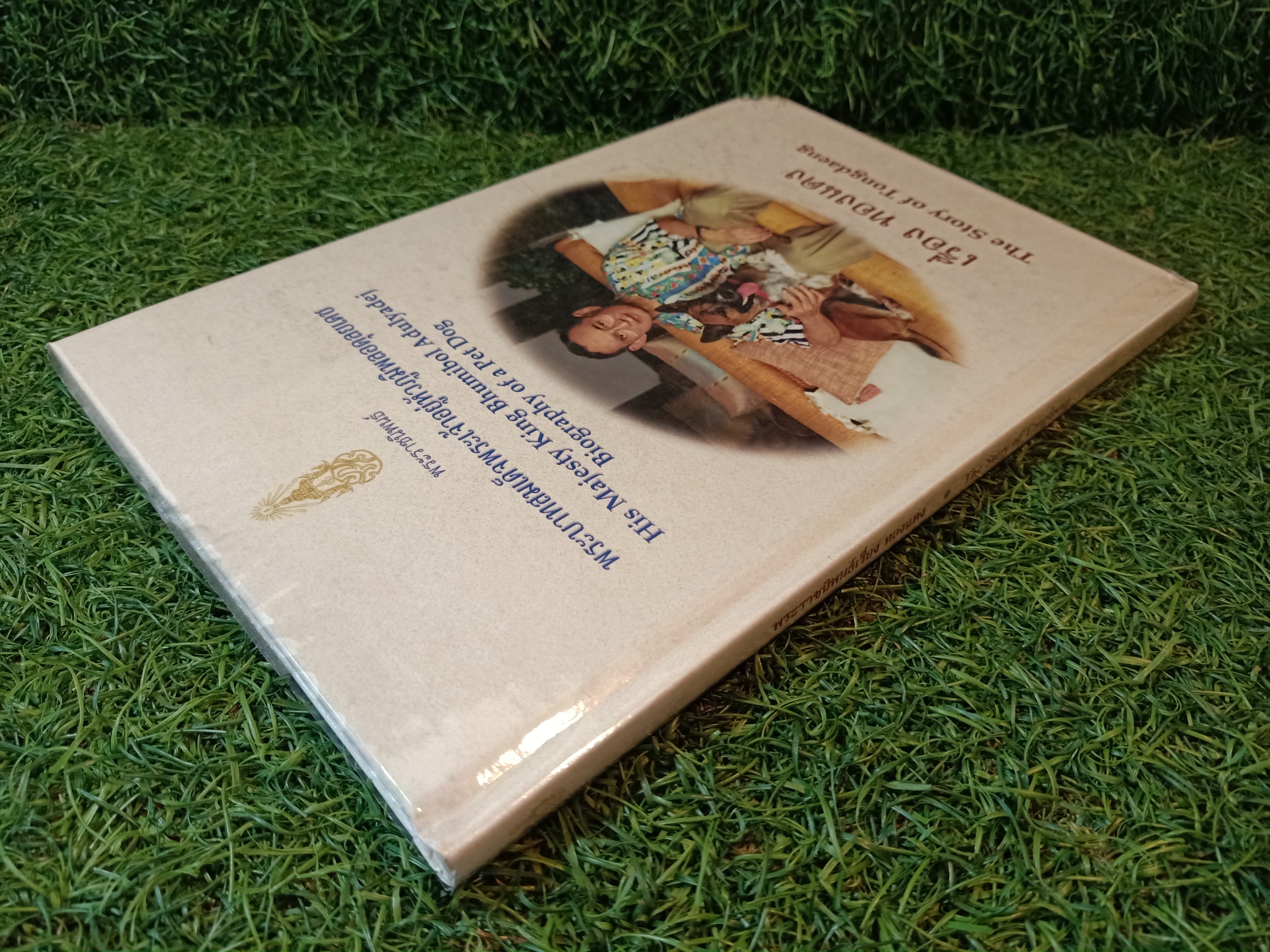 พระราชนิพนธ์ พระบาทสมเด็จพระเจ้าอยู่หัวภูมิพลอดุลยเดช เรื่องทองแดง