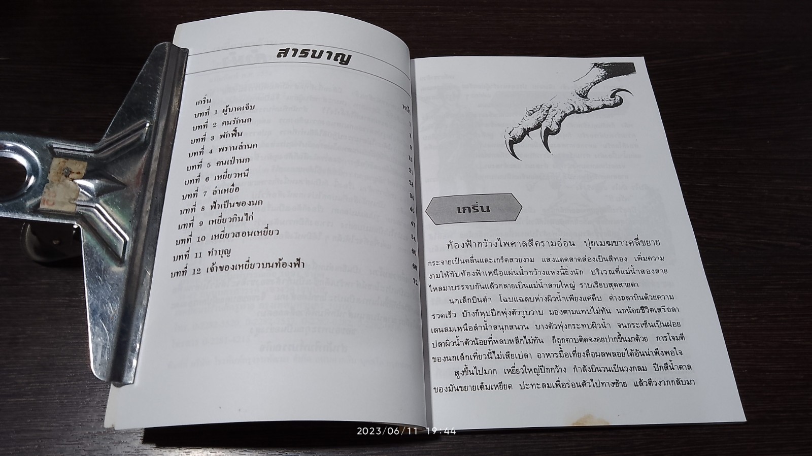 เหยี่ยวขาด้วน / ส.พุ่มสุวรรณ