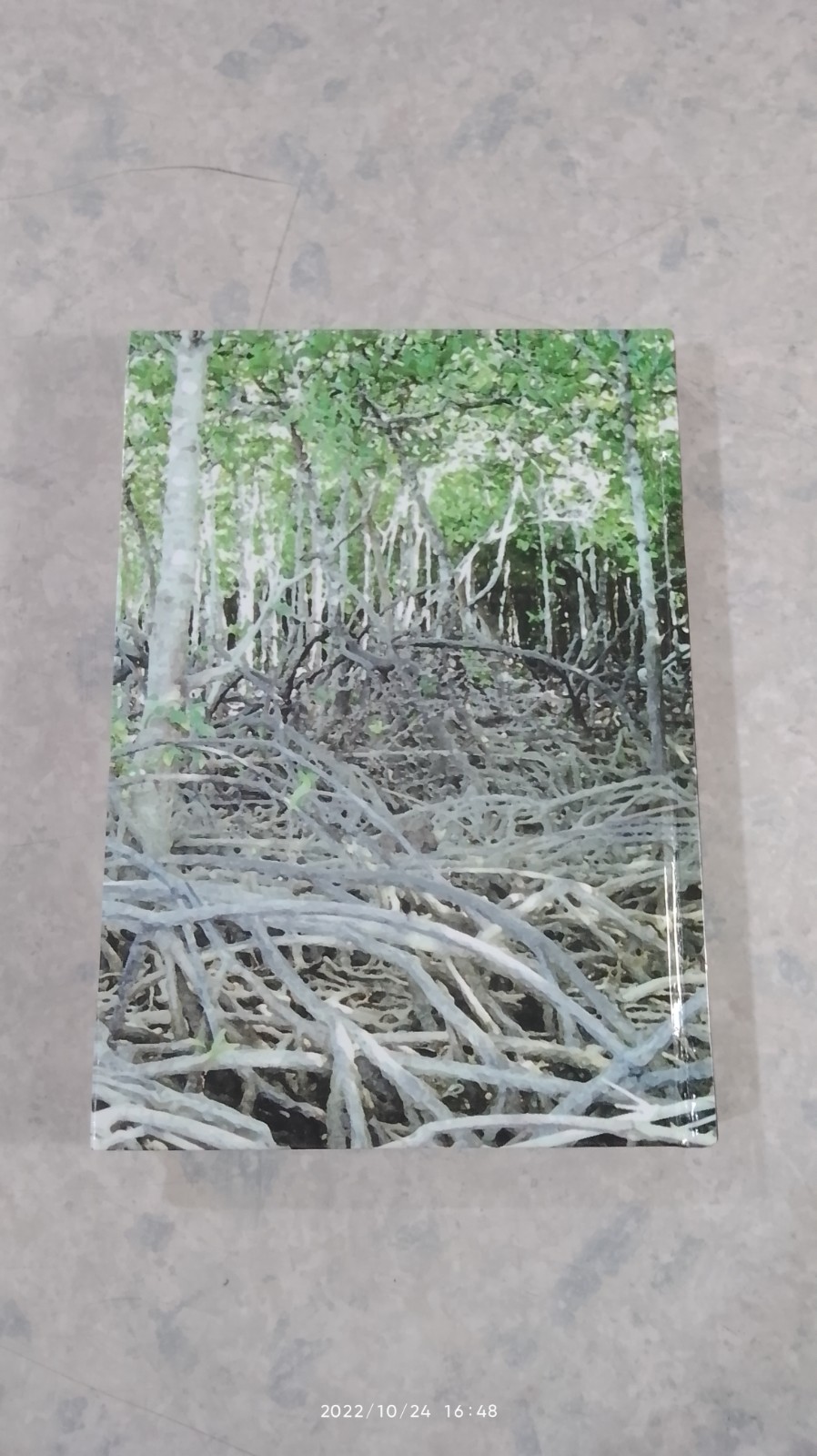 ความหลากหลายทางชีวภาพในป่าชายเลน ภาคใต้ตอนบน