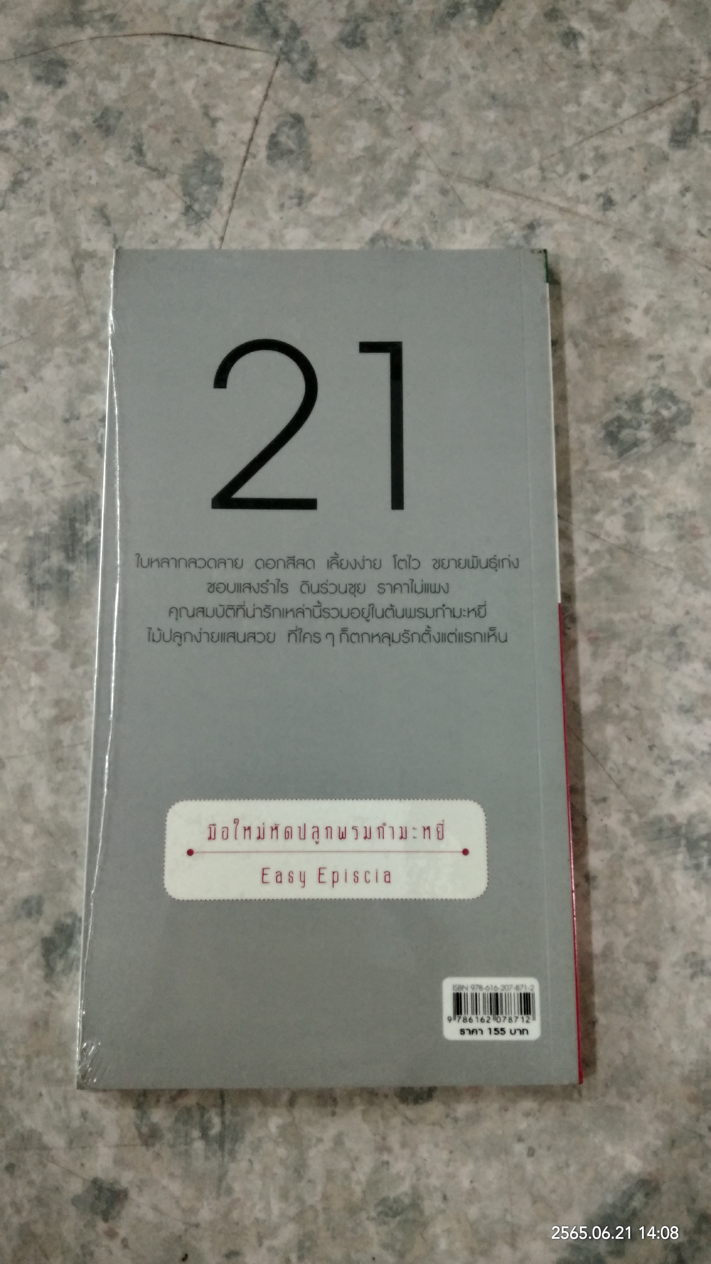 มือใหม่หักปลูกพรมกำมะหยี่ / ธิวลักษณ์ บุนนาค