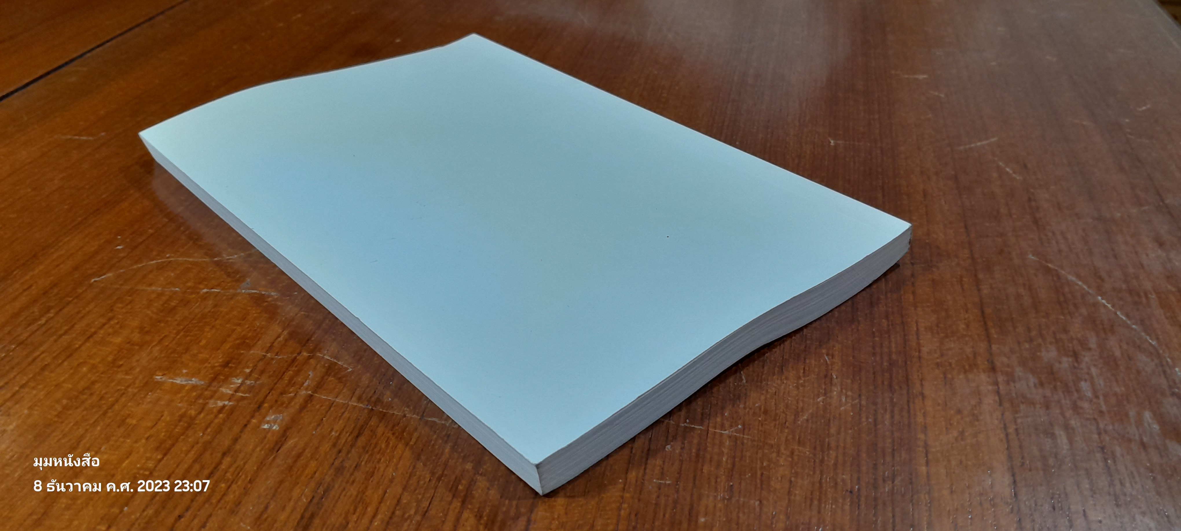 ลีลาชีวิต : อนุสรณ์ในงานพระราชทานเพลิงศพ สุชีพ ปุญญานุภาพ