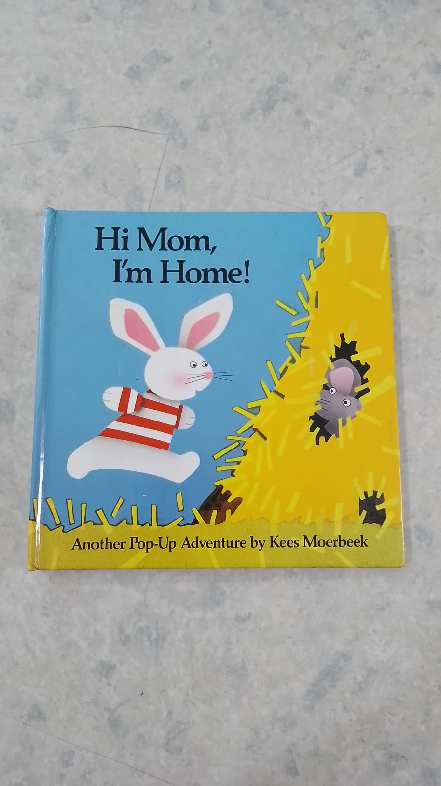 Hi Mom, I'm Home! [Pop-Up]