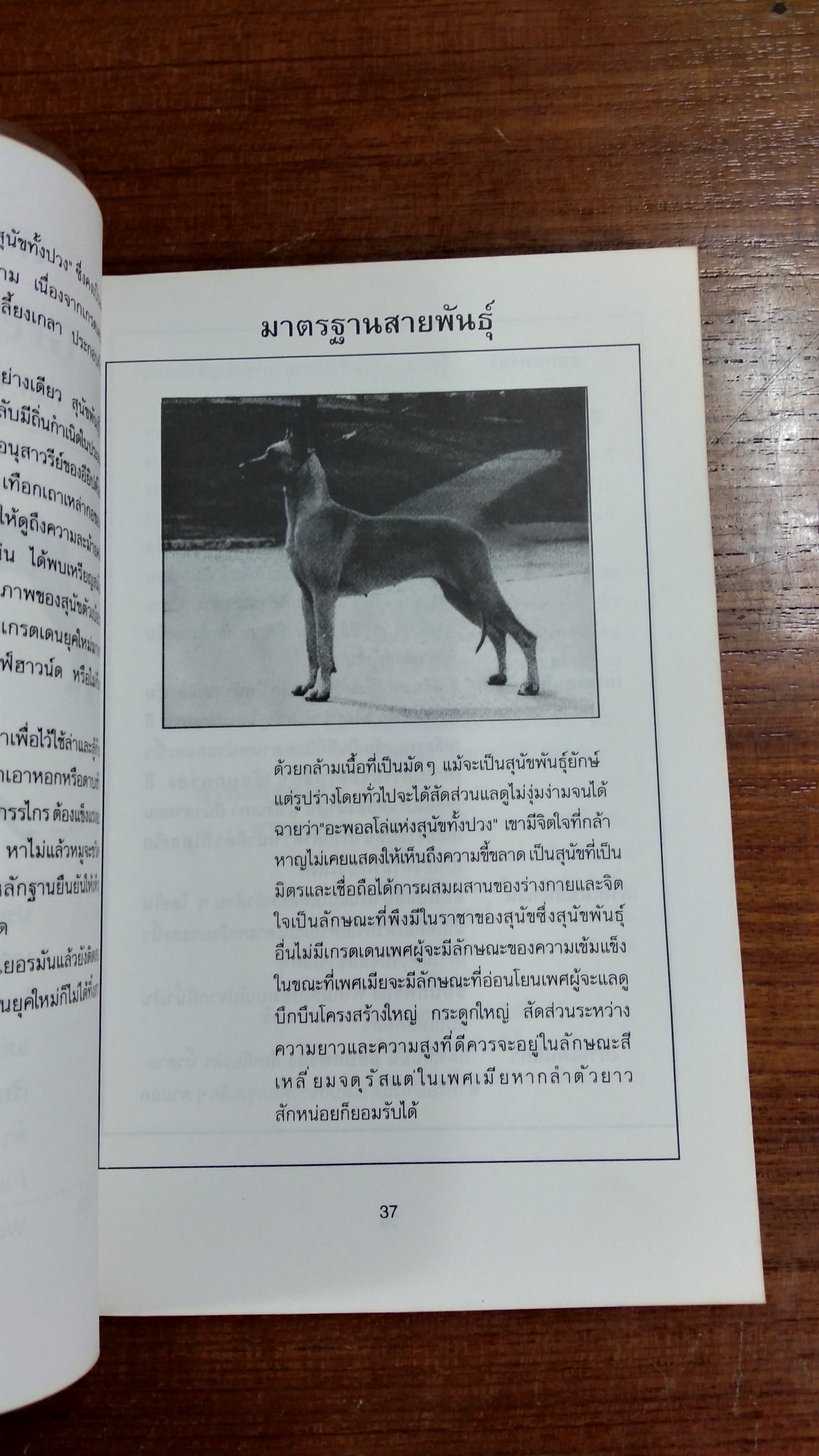 คู่มือ ในการเลือกพันธุ์สุนัข และโภชนาการของสุนัข / วิชัย คูสกุล