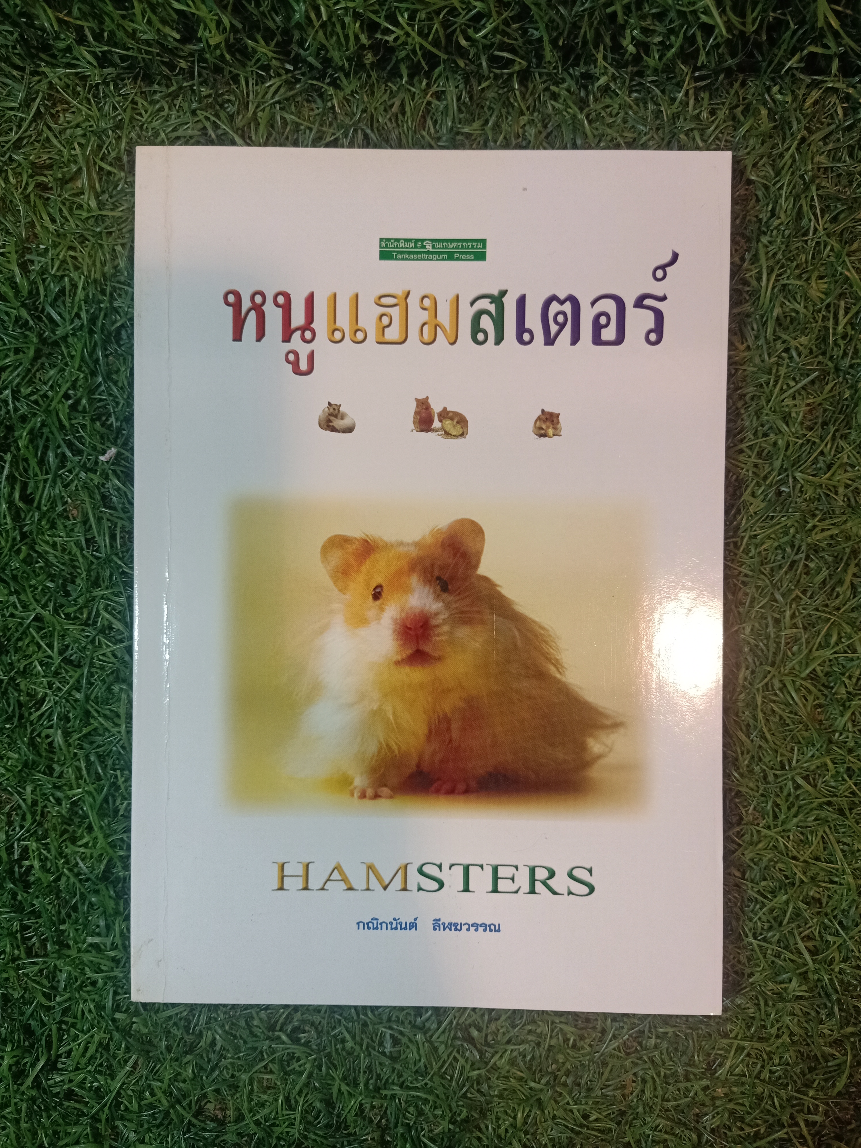 หนูแฮมสเตอร์ / กณิกนันต์ ลีฬฆวรรณ