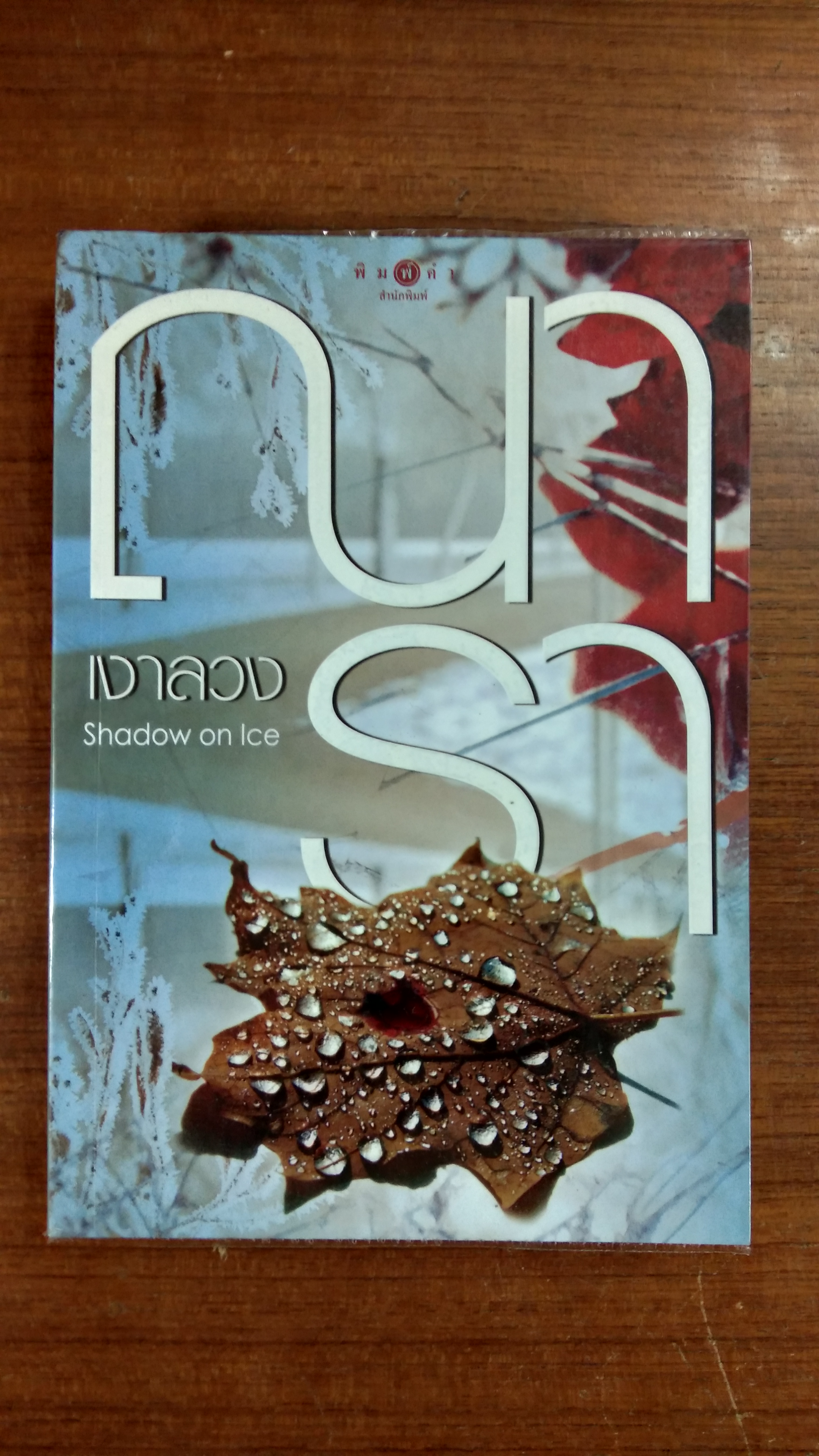 เงาลวง / ณารา