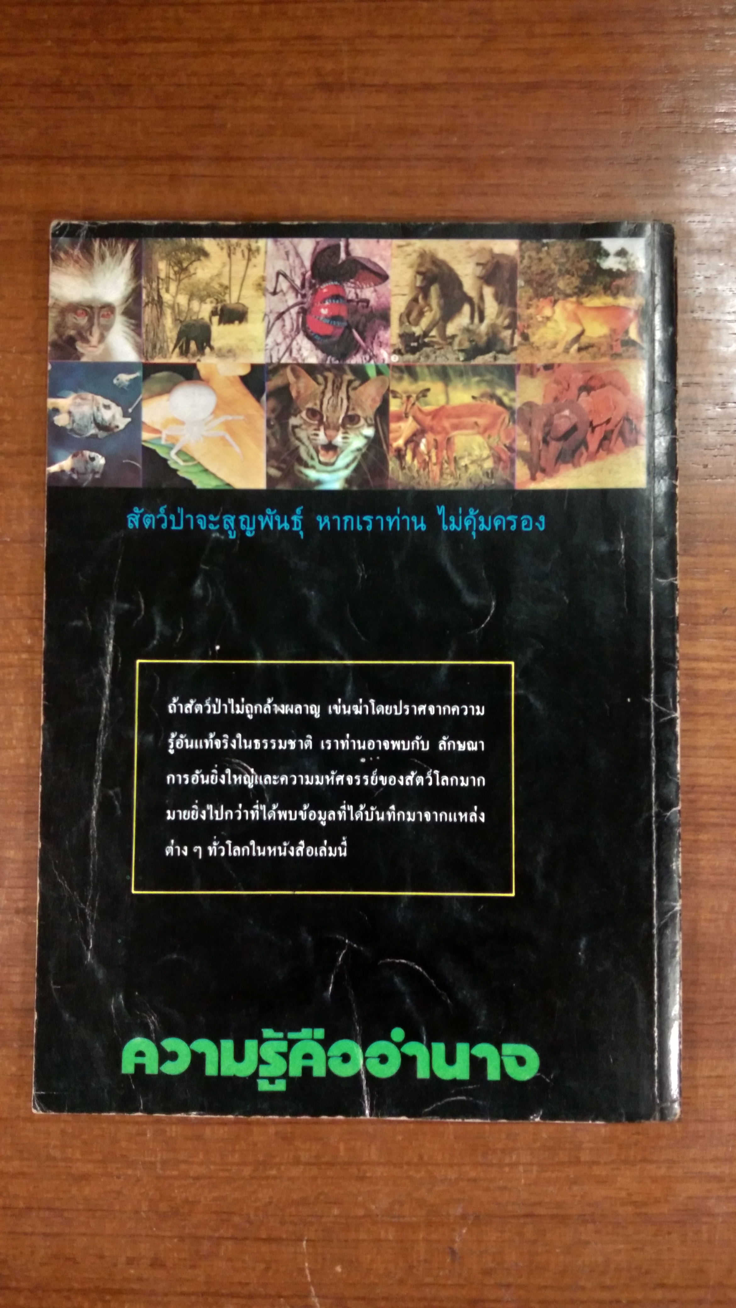 ที่สุดในโลก