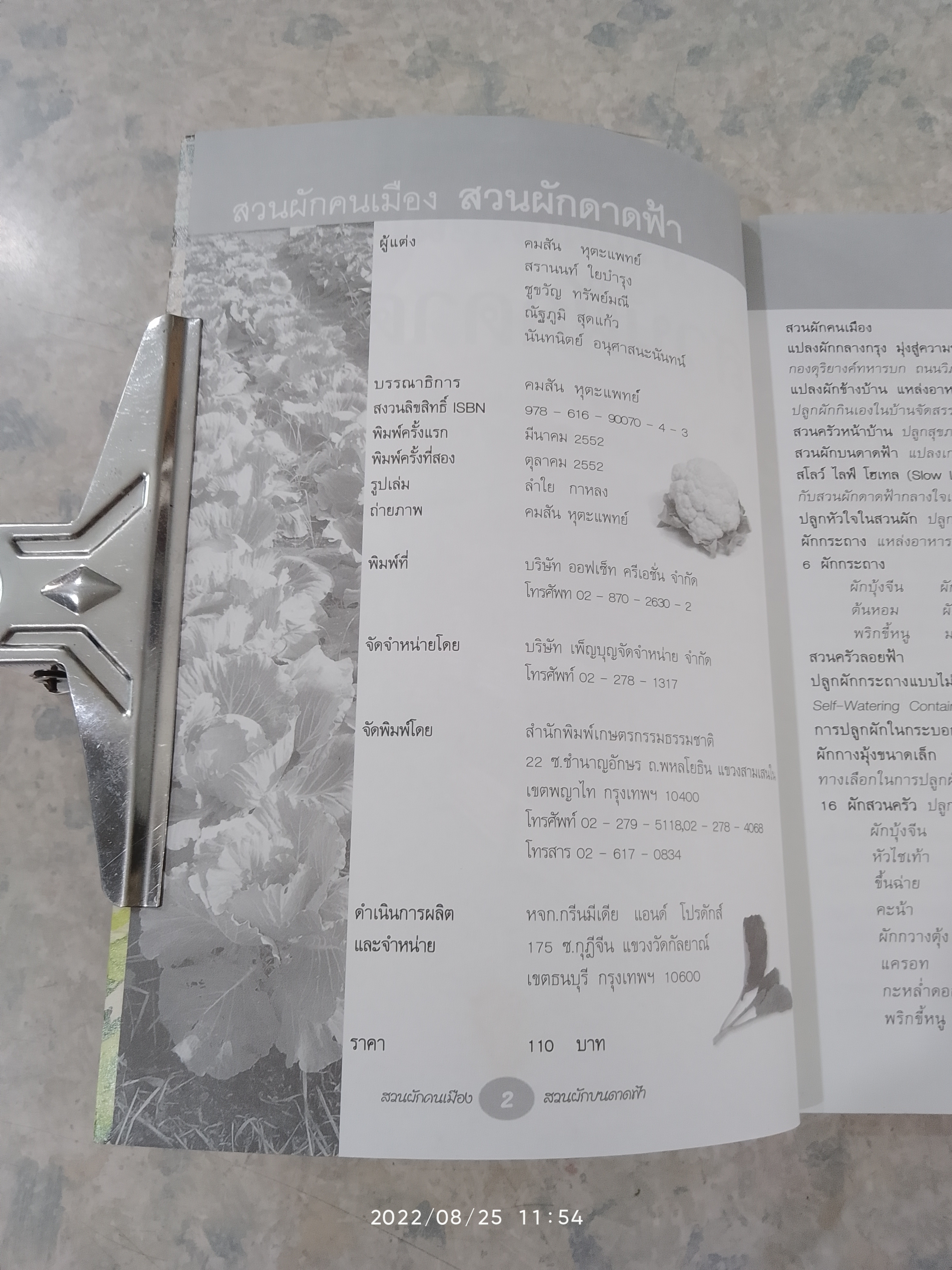 สวนผักคนเมือง สวนผักดาดฟ้า / คมสัน หุตะแพทย์