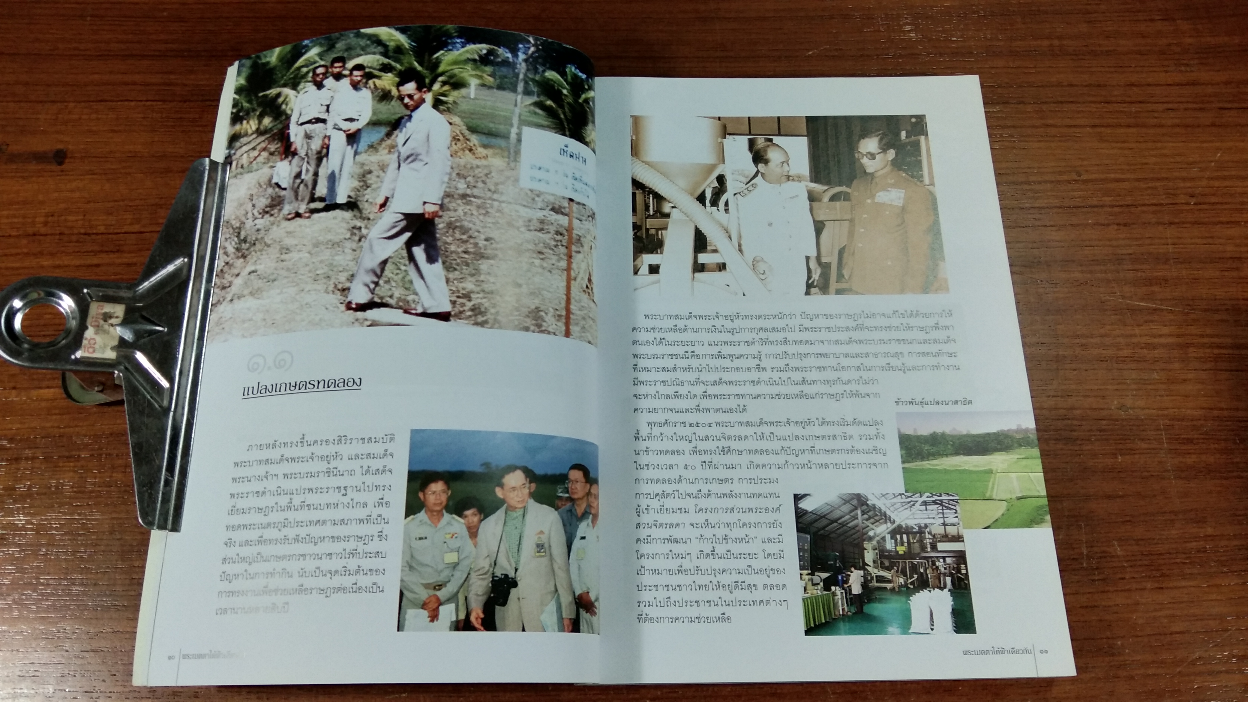 พระเมตตาใต้ฟ้าเดียวกัน