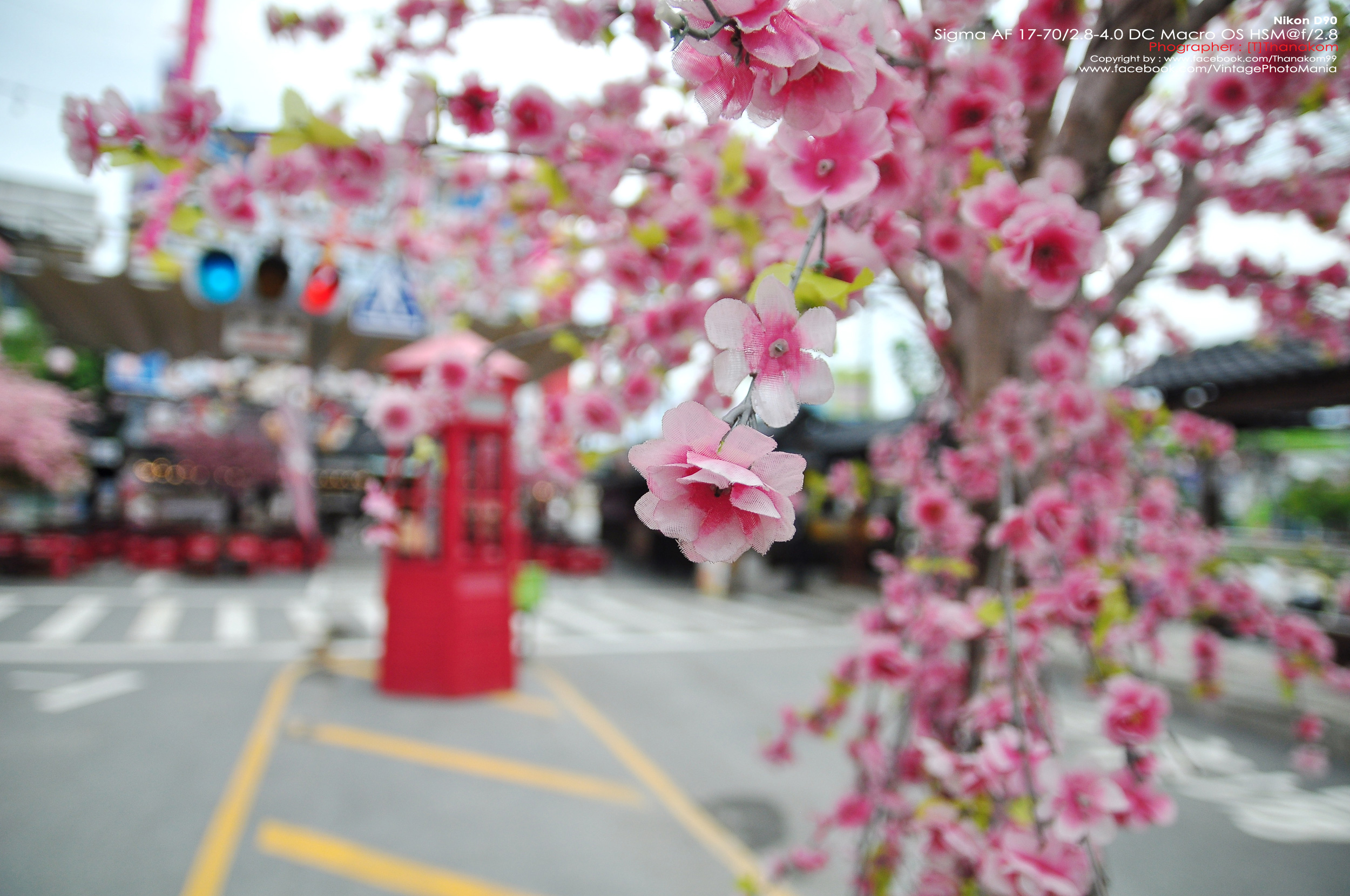 Sigma AF 17-70/2.8-4.5 DC HSM *Canon EF-S Mount [USED]