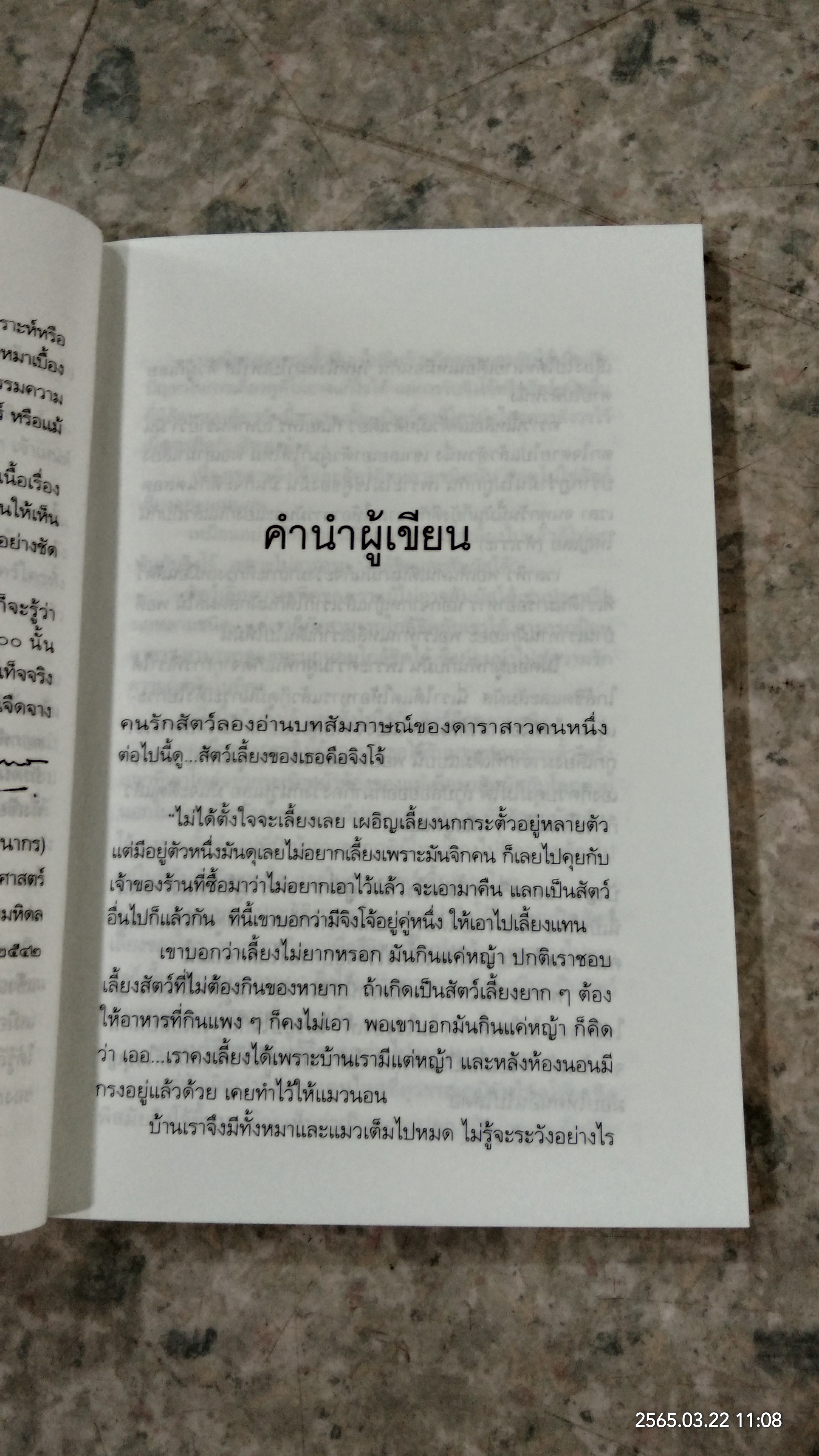 ดอกฟ้ากับหมาวัด / บัญชร ชวาลศิลป์