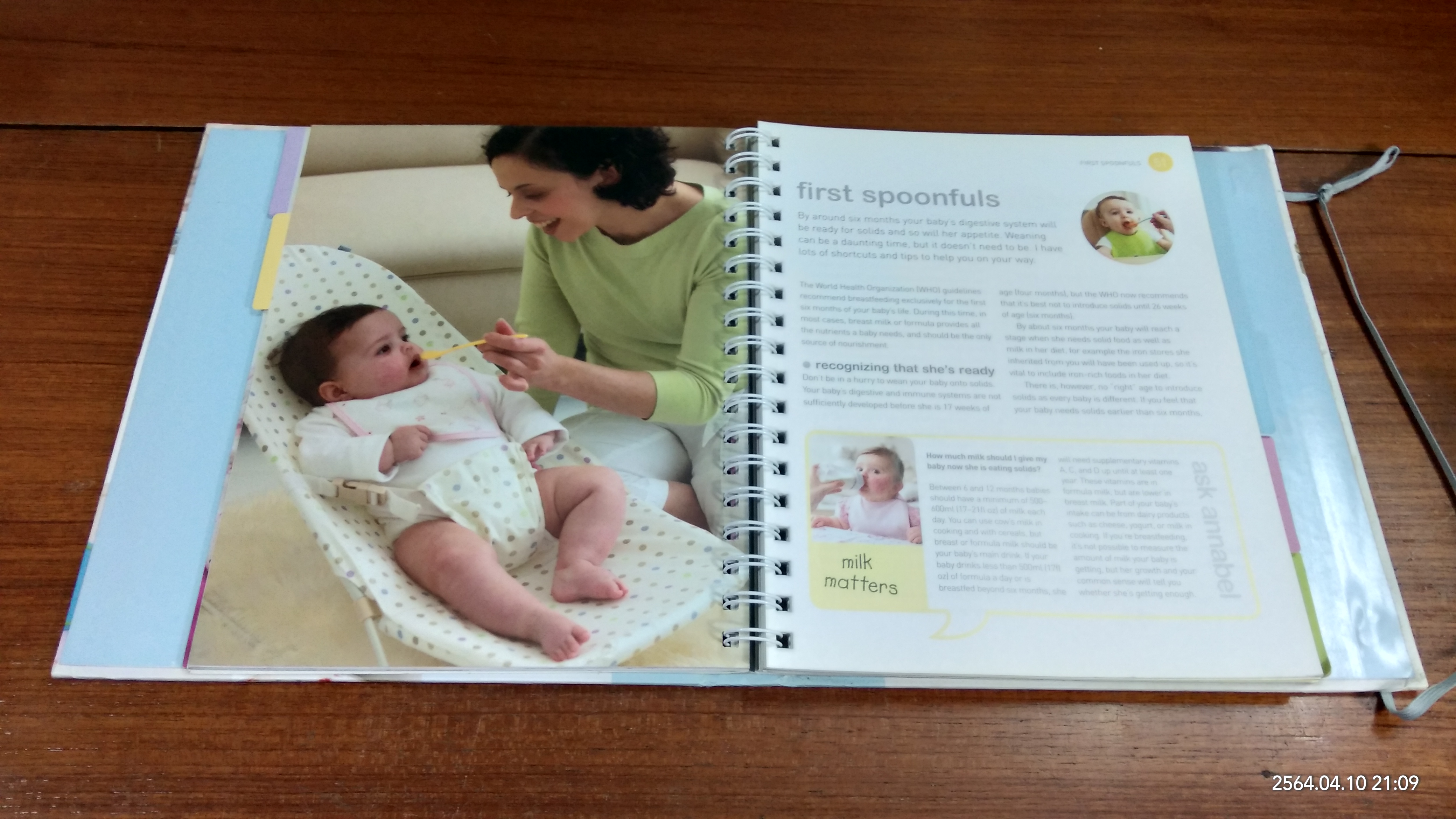 Bady and Toddler Food Diary / annabel karmel