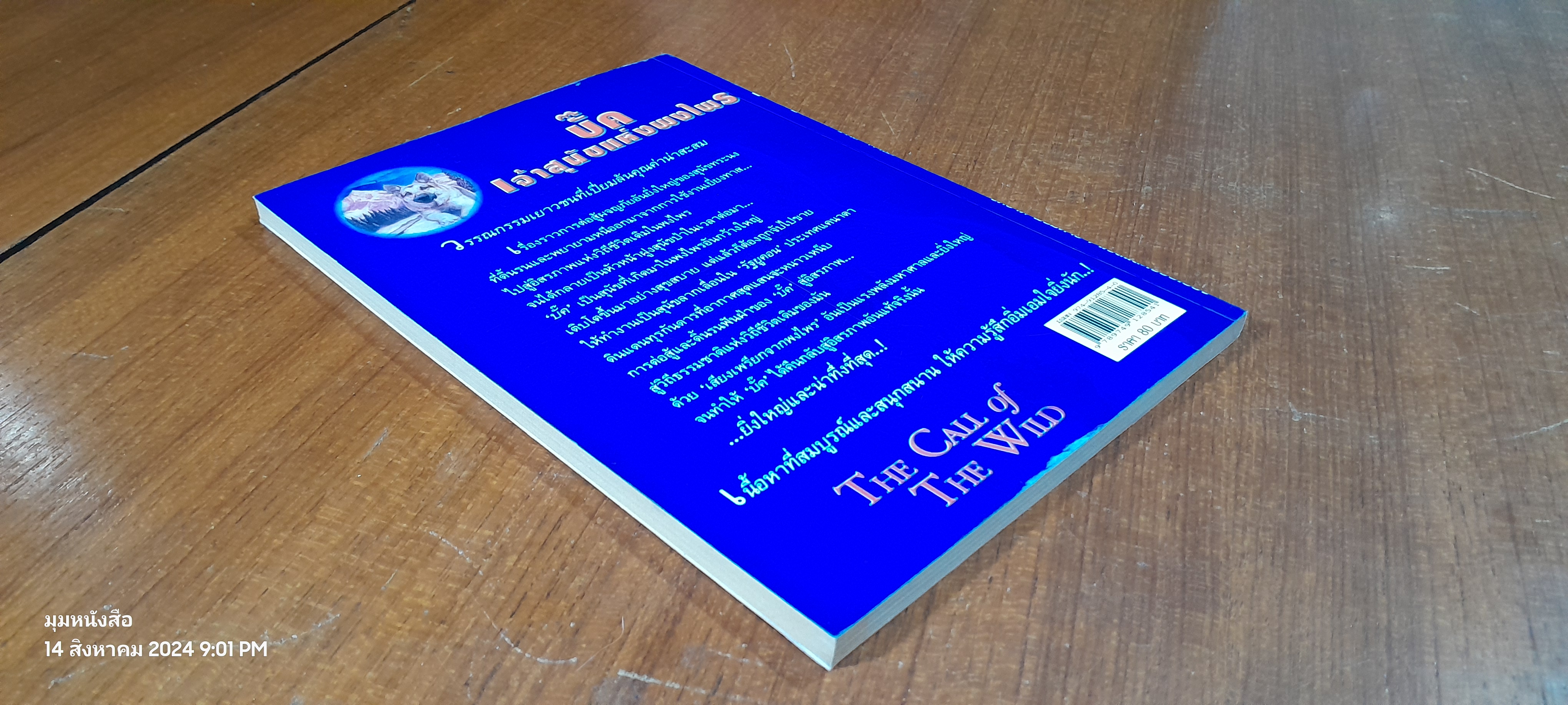 บั๊ค เจ้าสุนัขแห่งพงไพร / JACK LONDON