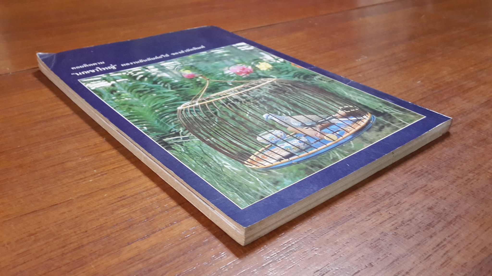 นกเขาชวา / ผศ.มัลลิกา คณานุรักษ์