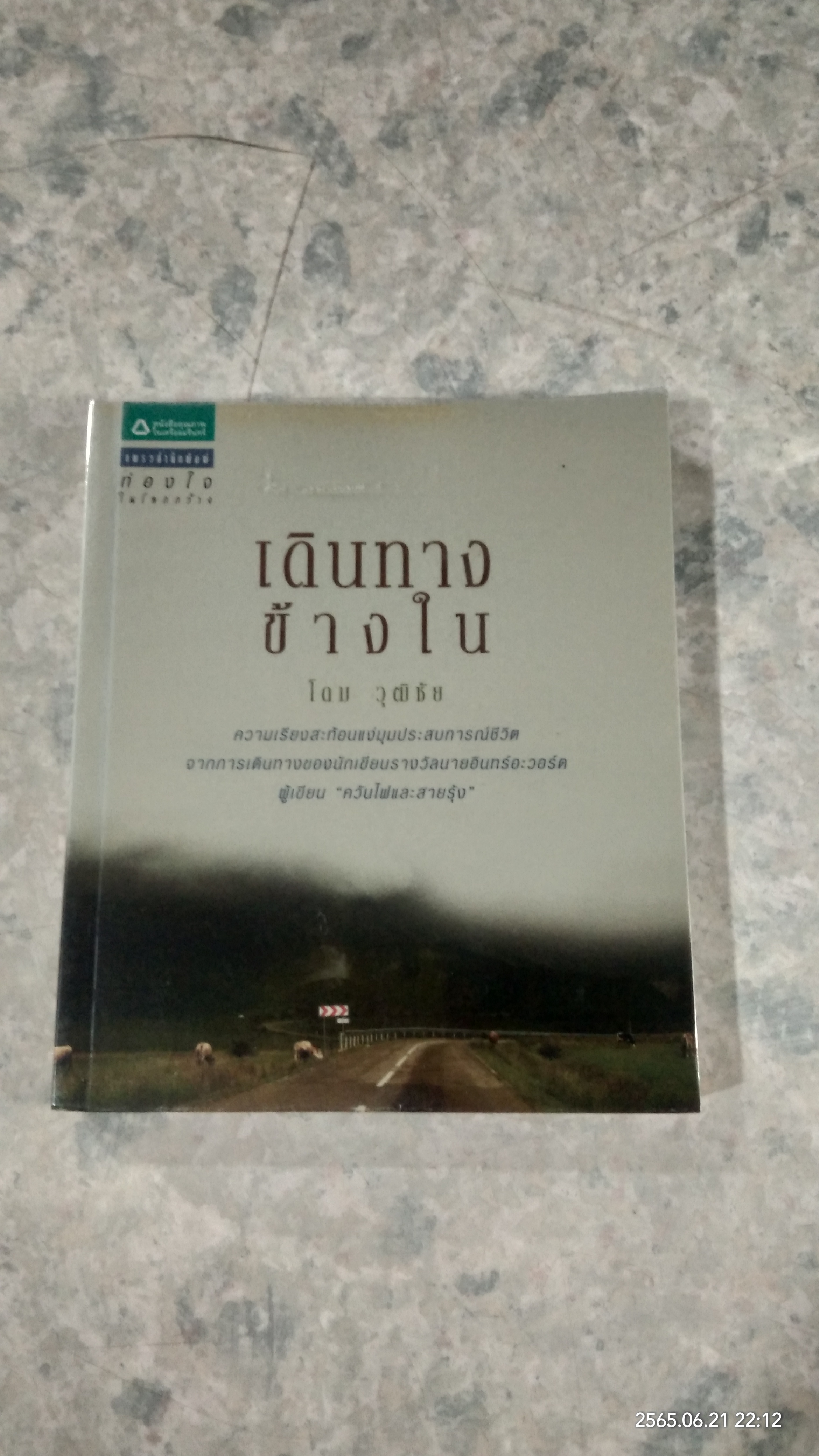 เดินทางข้างใน / โดม วุฒิชัย