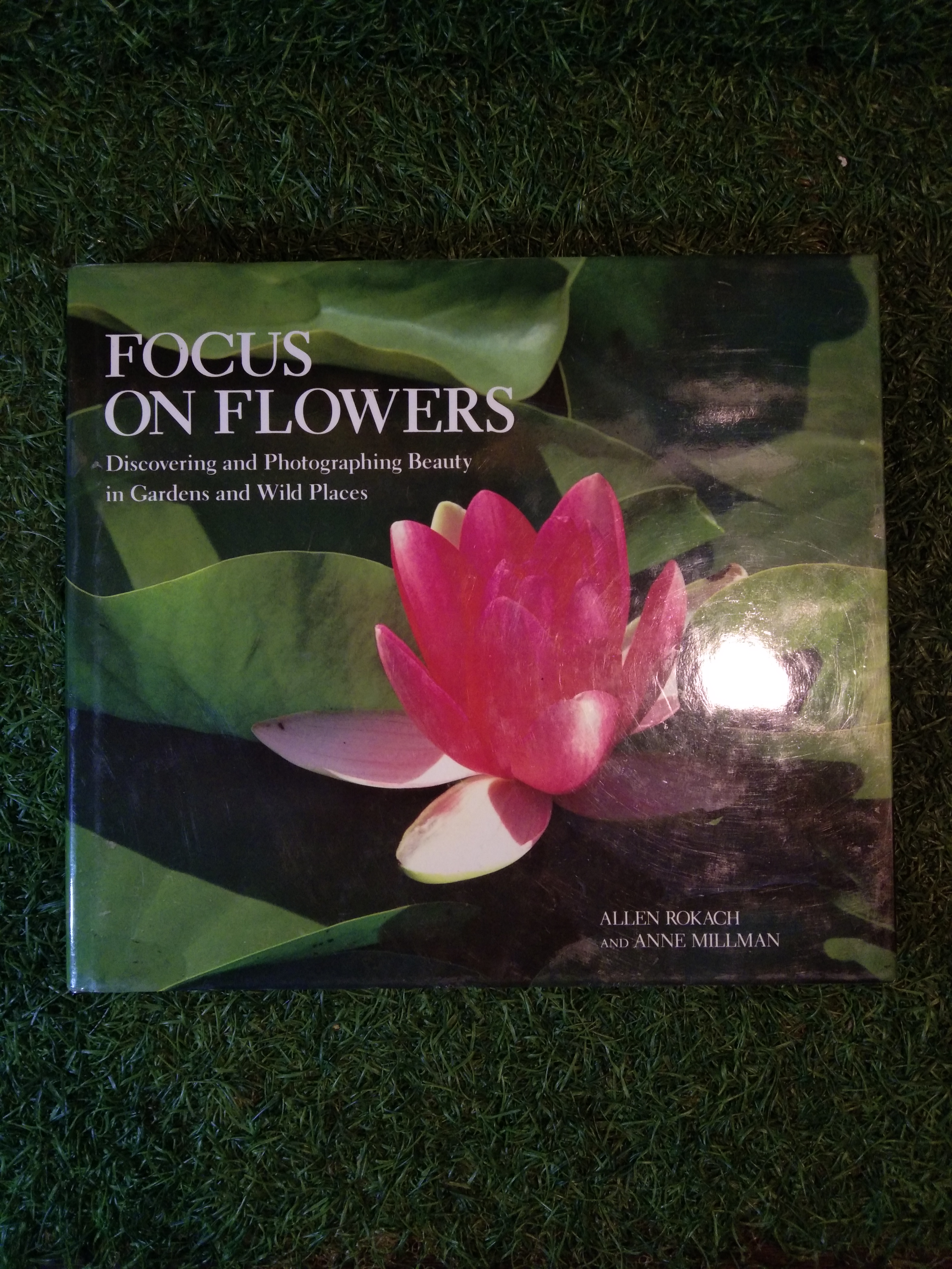FOCUS ON FLOERS / ALLEN ROKACH and ANNE MILLMAN