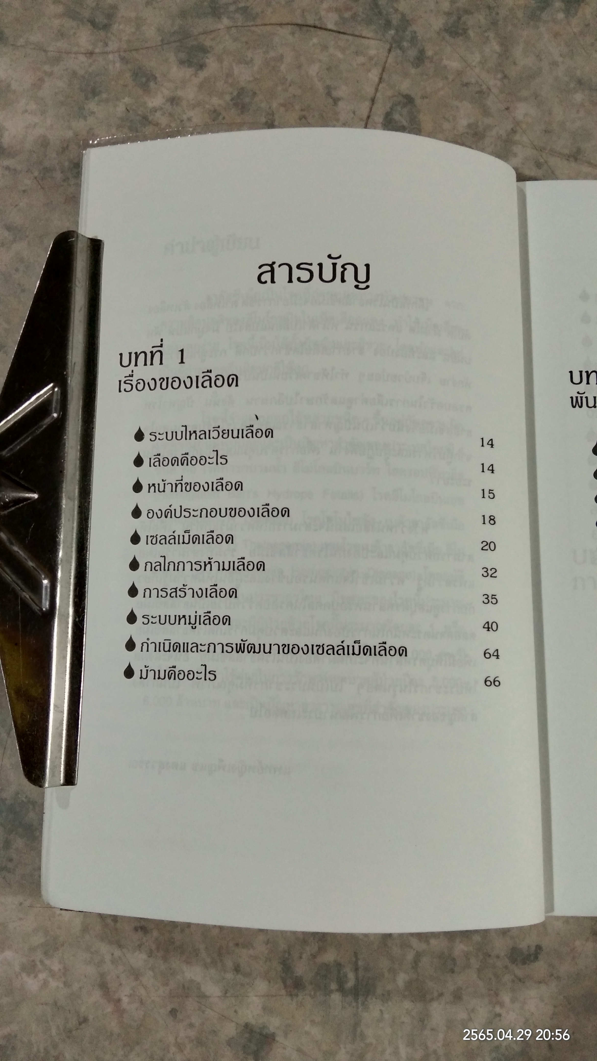 โรคธาลัสซีเมีย / แพทย์หญิงเพ็ญแข แดงสุวรรณ