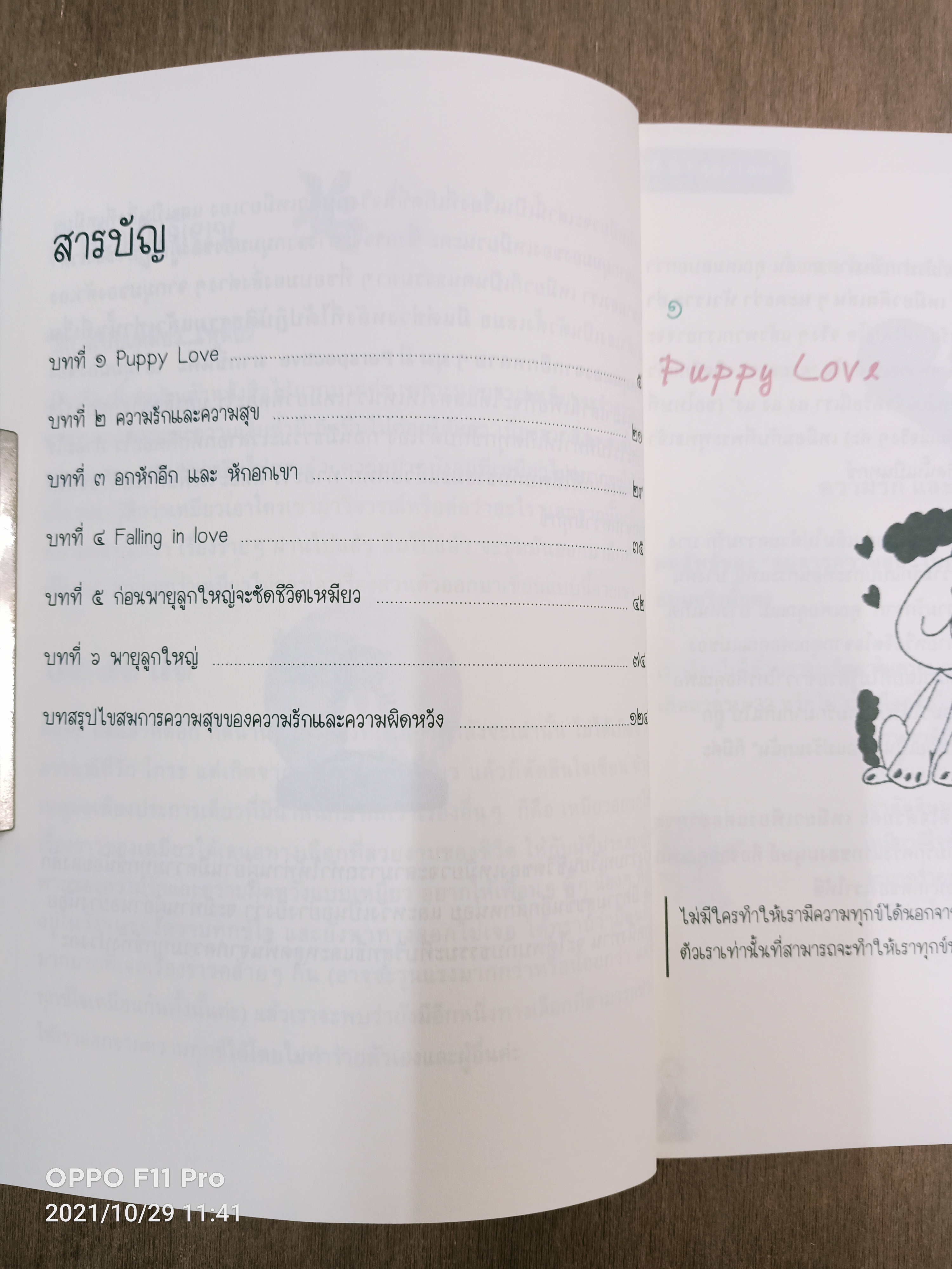 ไขสมการ ความสุข / เหมียว วรัตดา