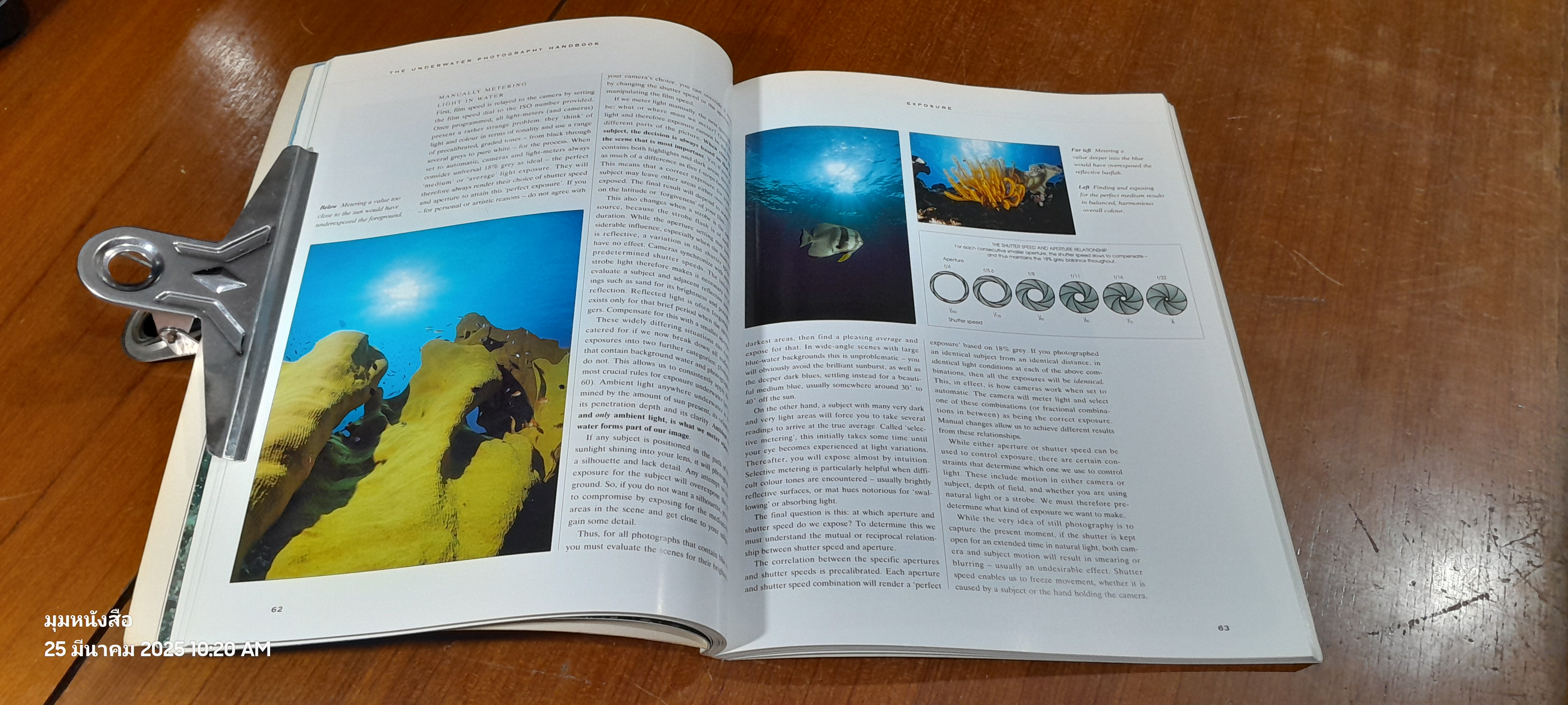 UNDERWATER PHOTOGRAPHY / Annemarie