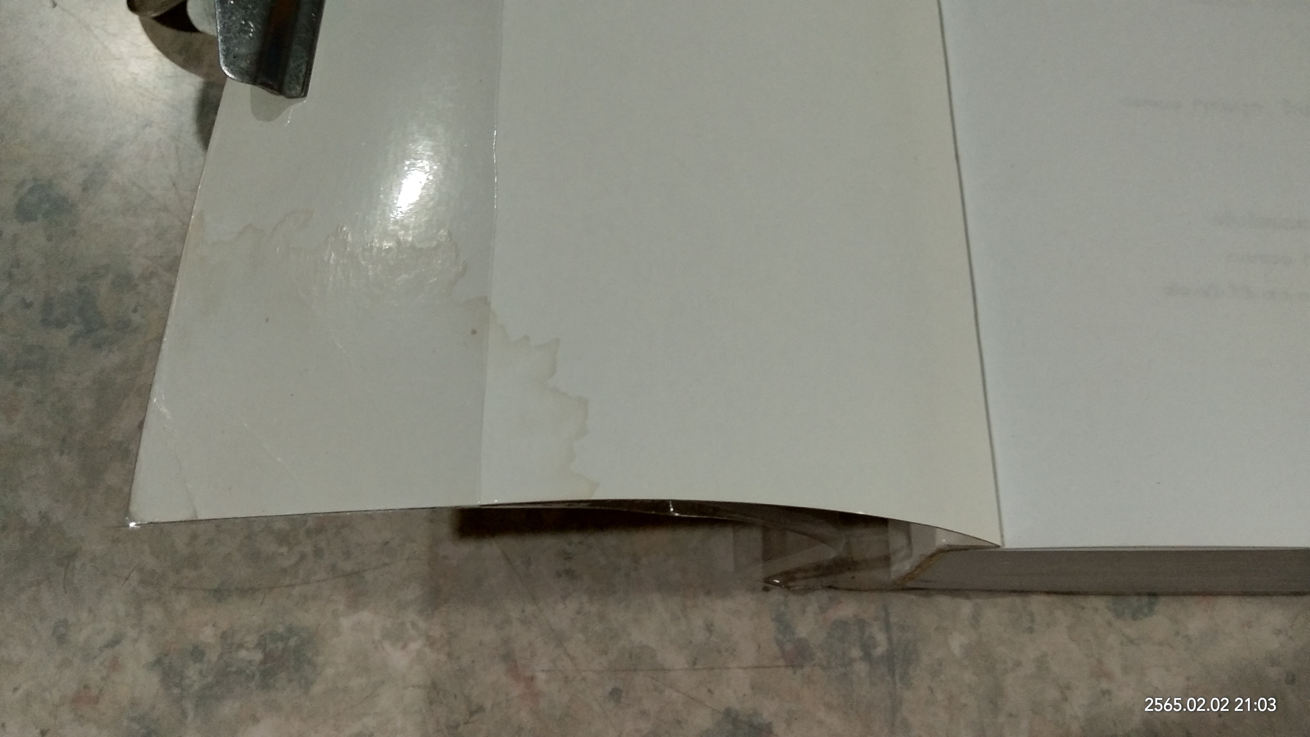 เมืองแมว (มีรอยโดนน้ำ) / กริ่มกมล มหัทธนวิศัลย์