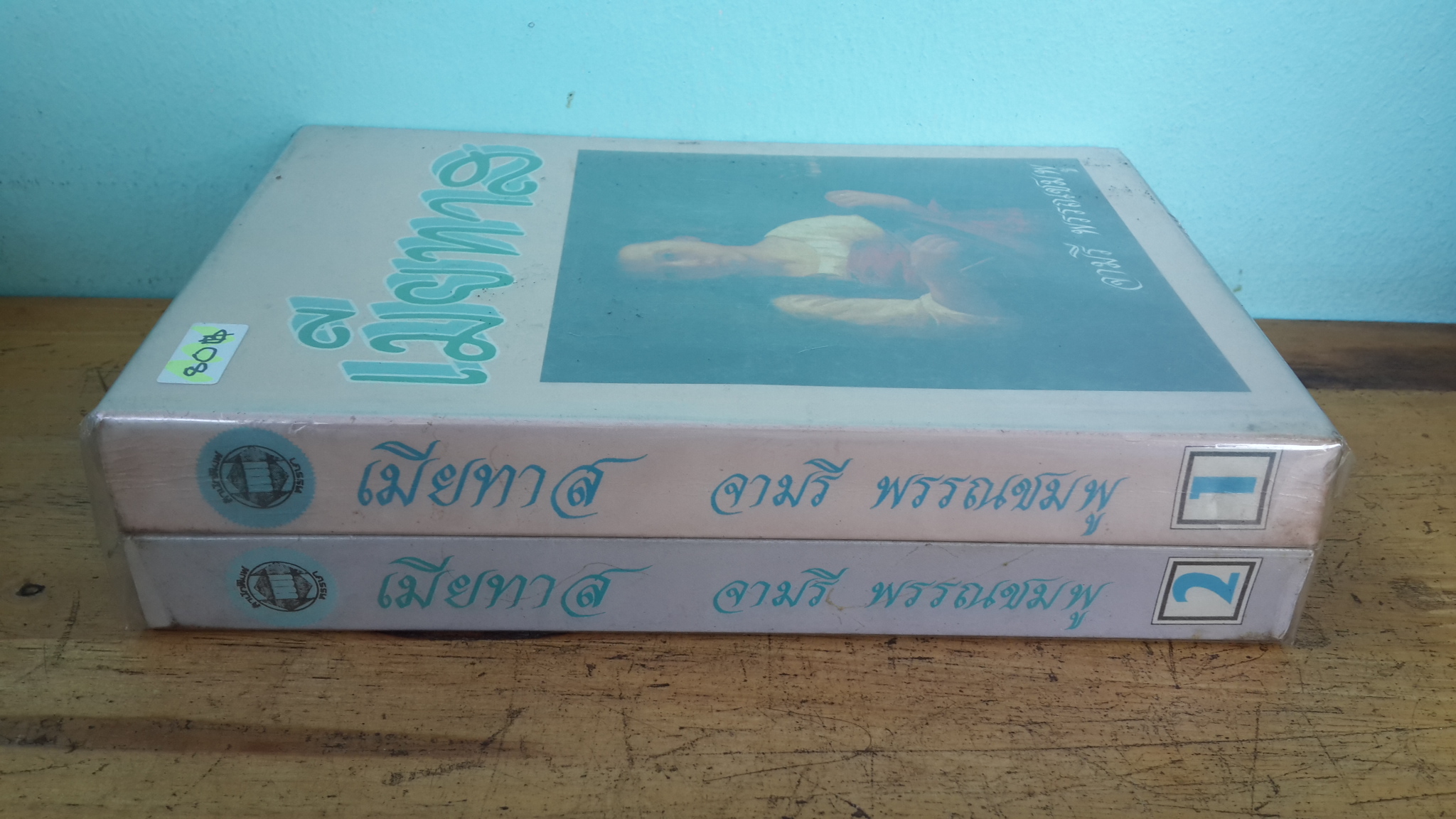 เมียทาส (2เล่มจบ) / จามรี พรรณชมพู