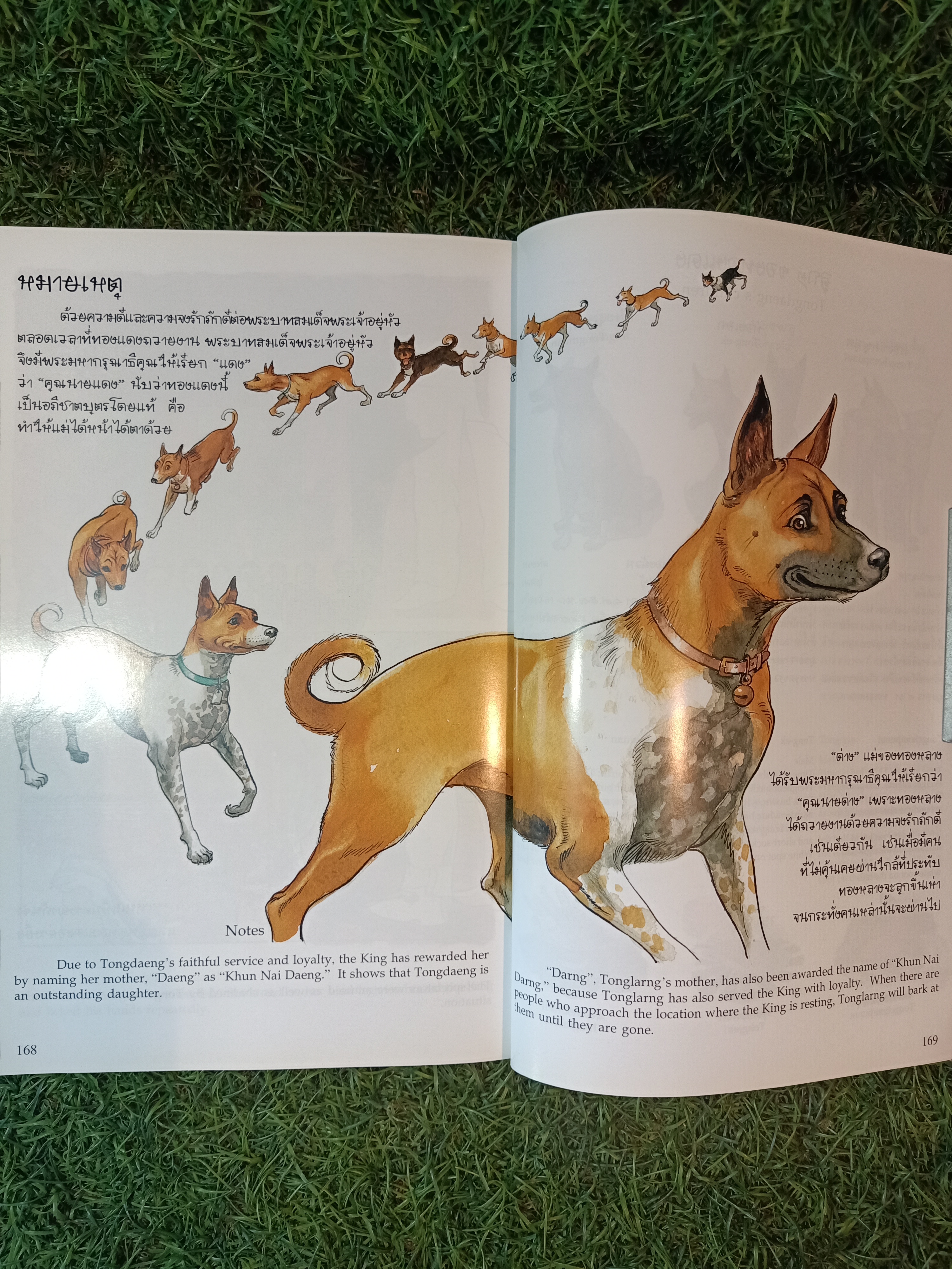 พระราชนิพนธ์เรื่อง ทองแดง ฉบับการ์ตูน / พระราชนิพนธ์ พระบาทสมเด็จพระเจ้าอยู่หัวภูมิพลอดุลยเดชฯ