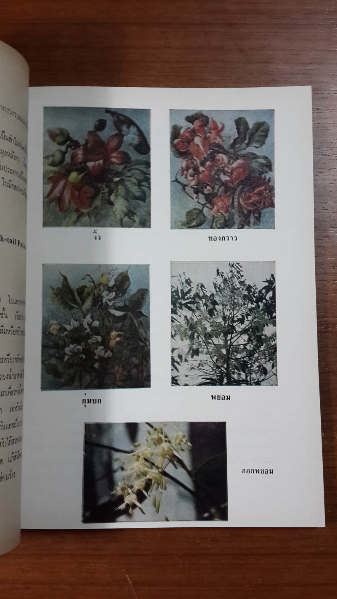 ต้นไม้ในวรรณคดี : อนุสรณ์ในงานฌาปนกิจศพ นางฤทธิรณไชย (เฮียง อรรถโกวิท)