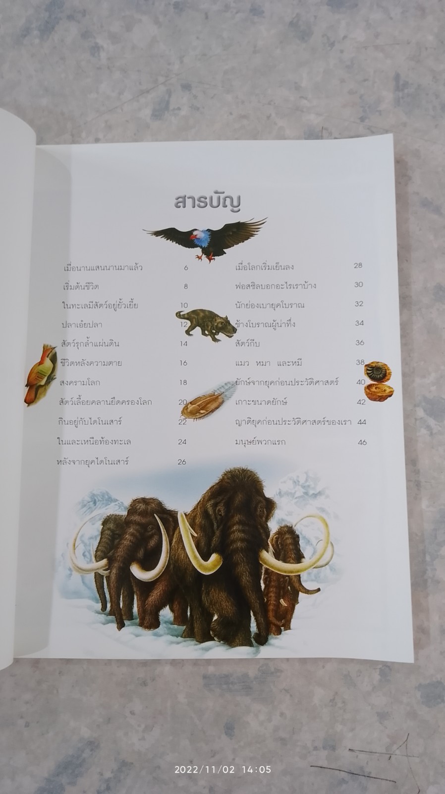 100 เรื่องน่ารู้เกี่ยวกับ ชีวิตยุคก่อนประวัติศาสตร์