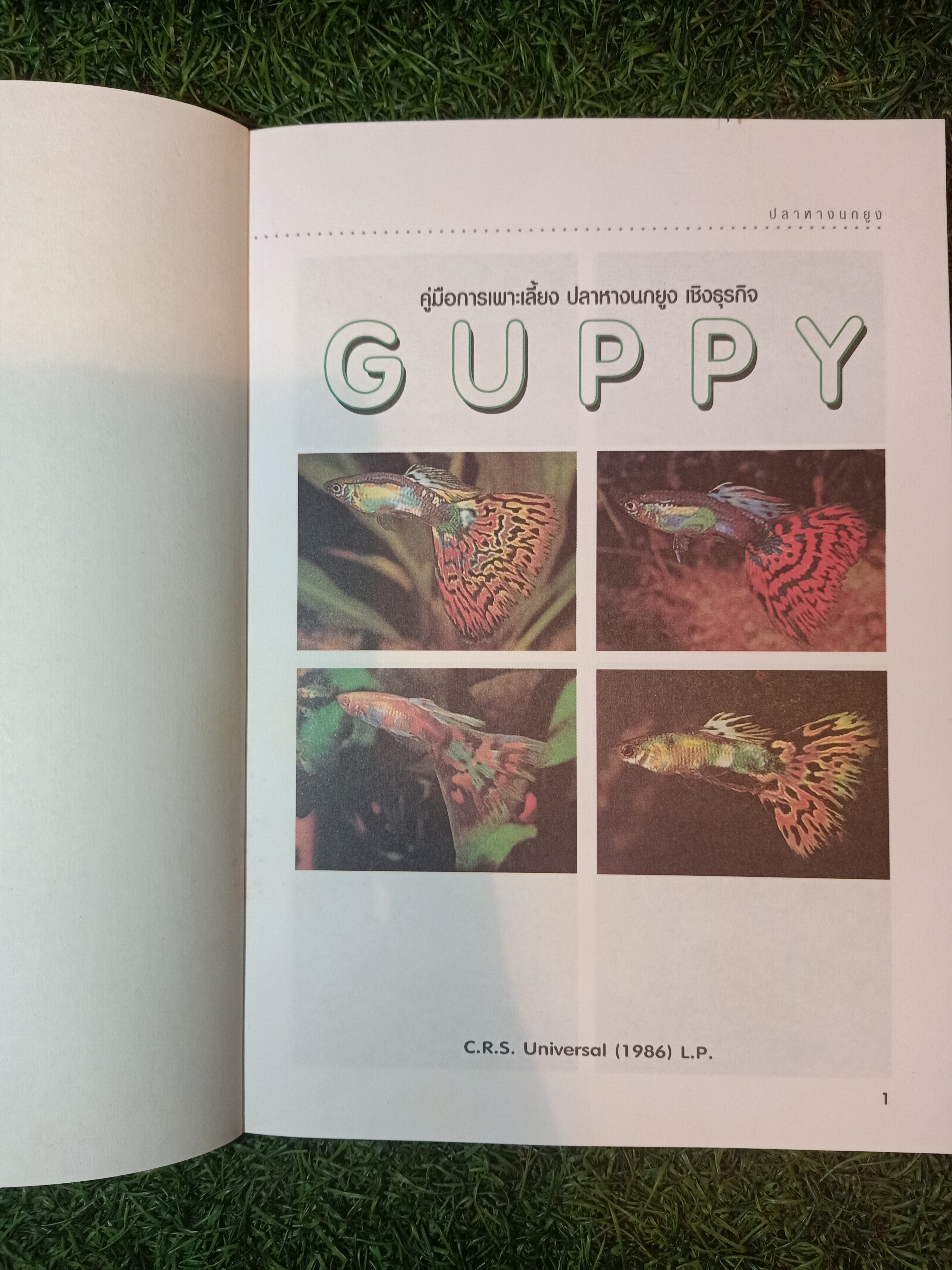 สายพันธุืและการเพาะเลี้ยง ปลาหางนกยูง GUPPY / กฤษณา แก้วชะอุ่ม ภีระ ไกรแสงศรี