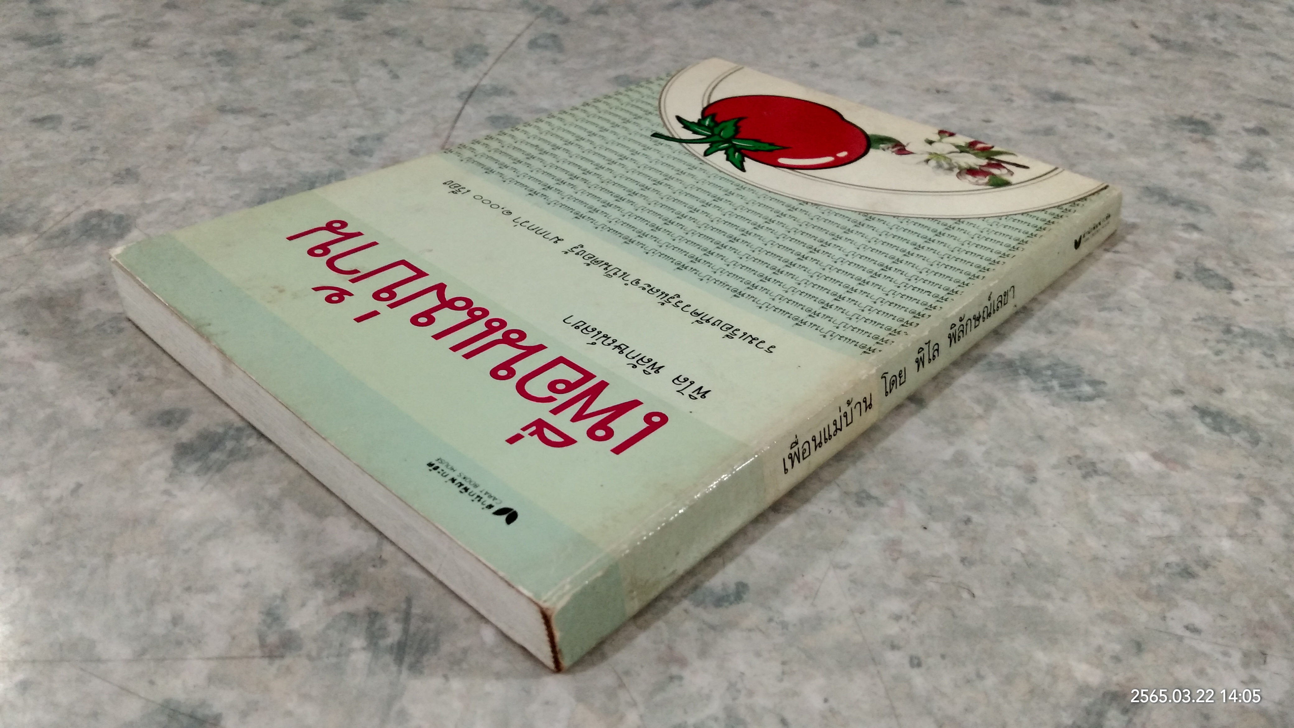 เพื่อนแม่บ้าน / พิไล พิลักษณ์เลขา