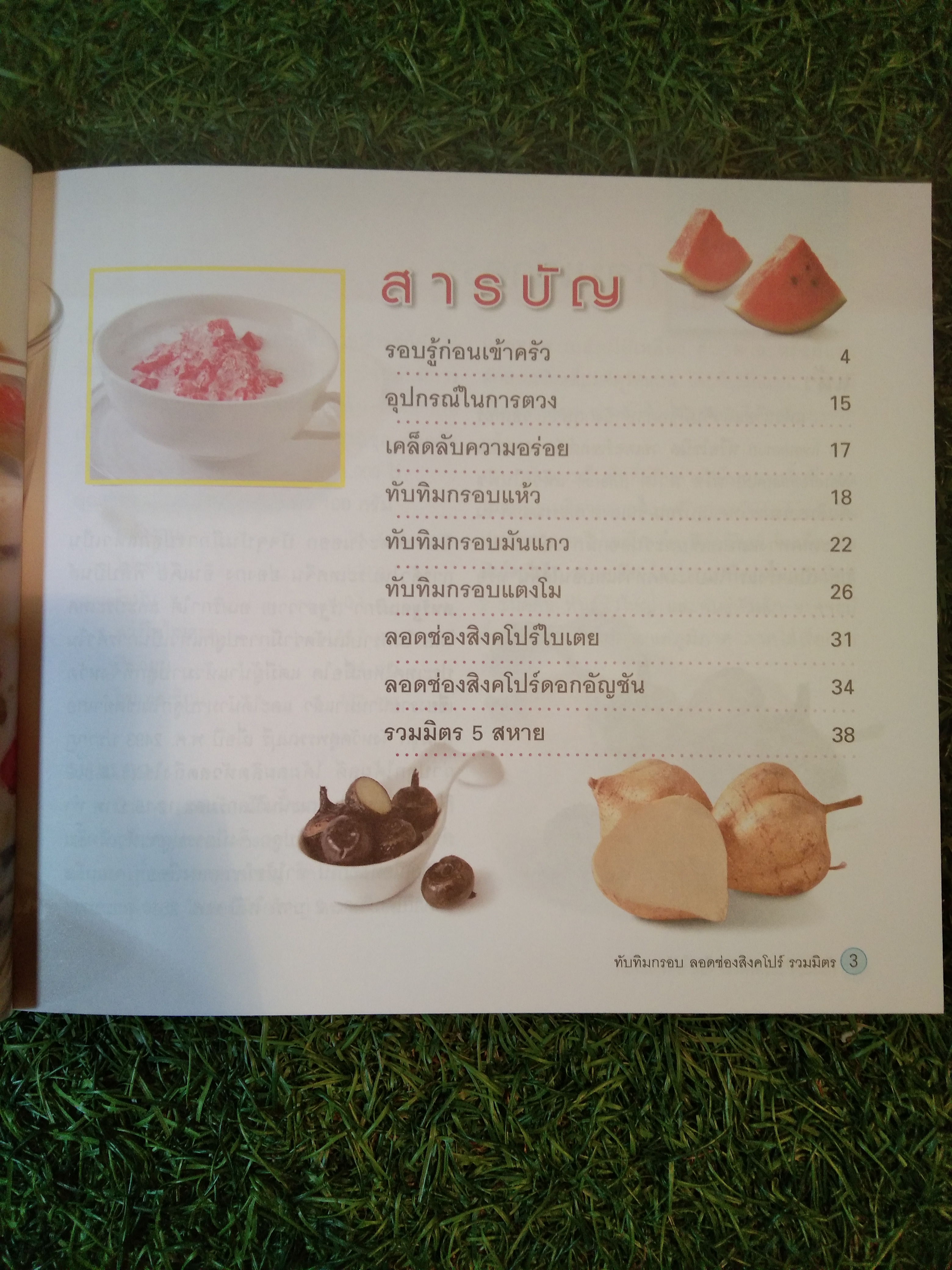 ทับทิมกรอบ ลอดช่องสิงคโปร์ และรวมมิตร / อัญชลี สิริศักดิ์