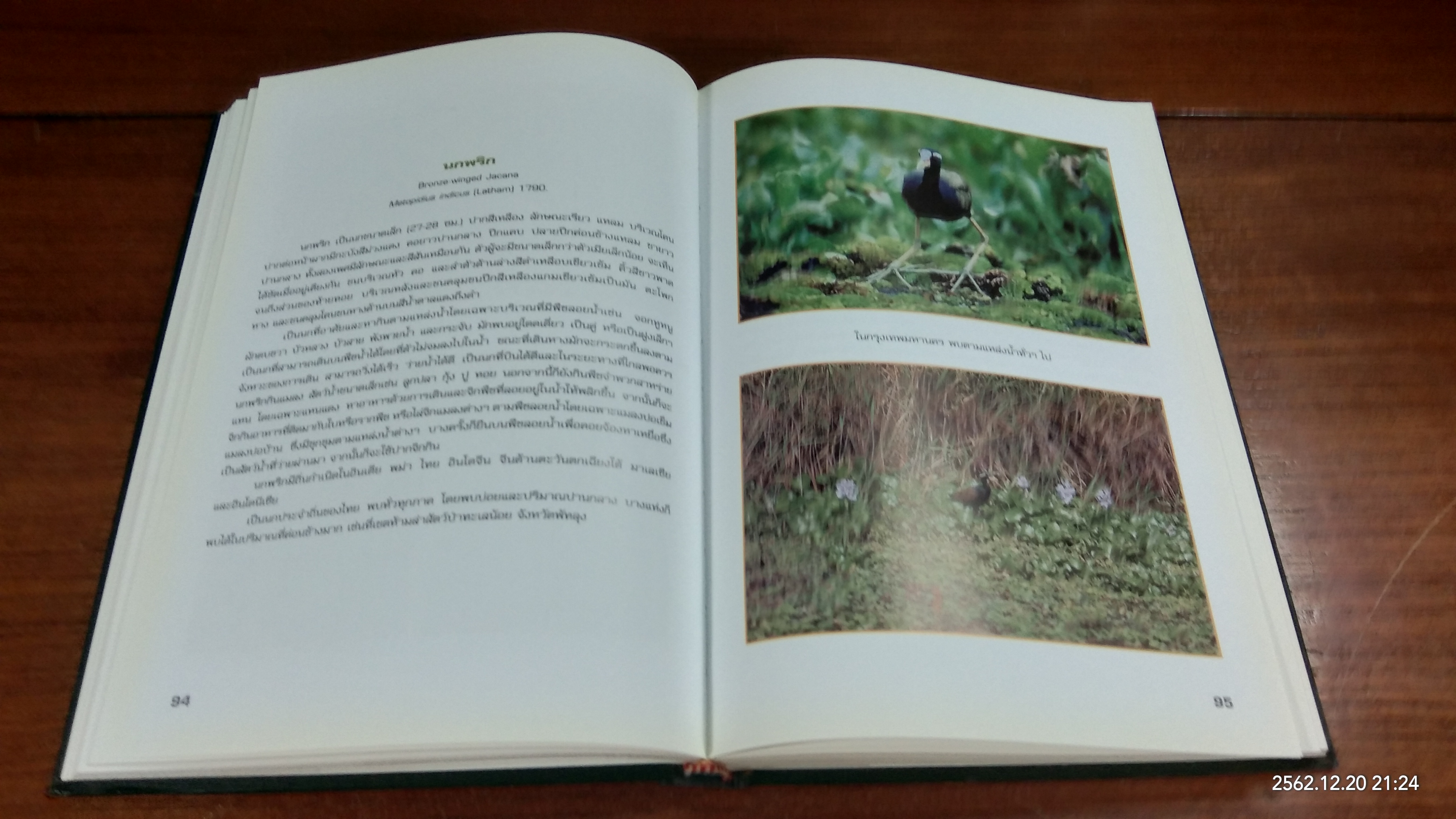 นกในกรุงเทพมหานคร / กรมส่งเสริมคุณภาพสิ่งแวดล้อม