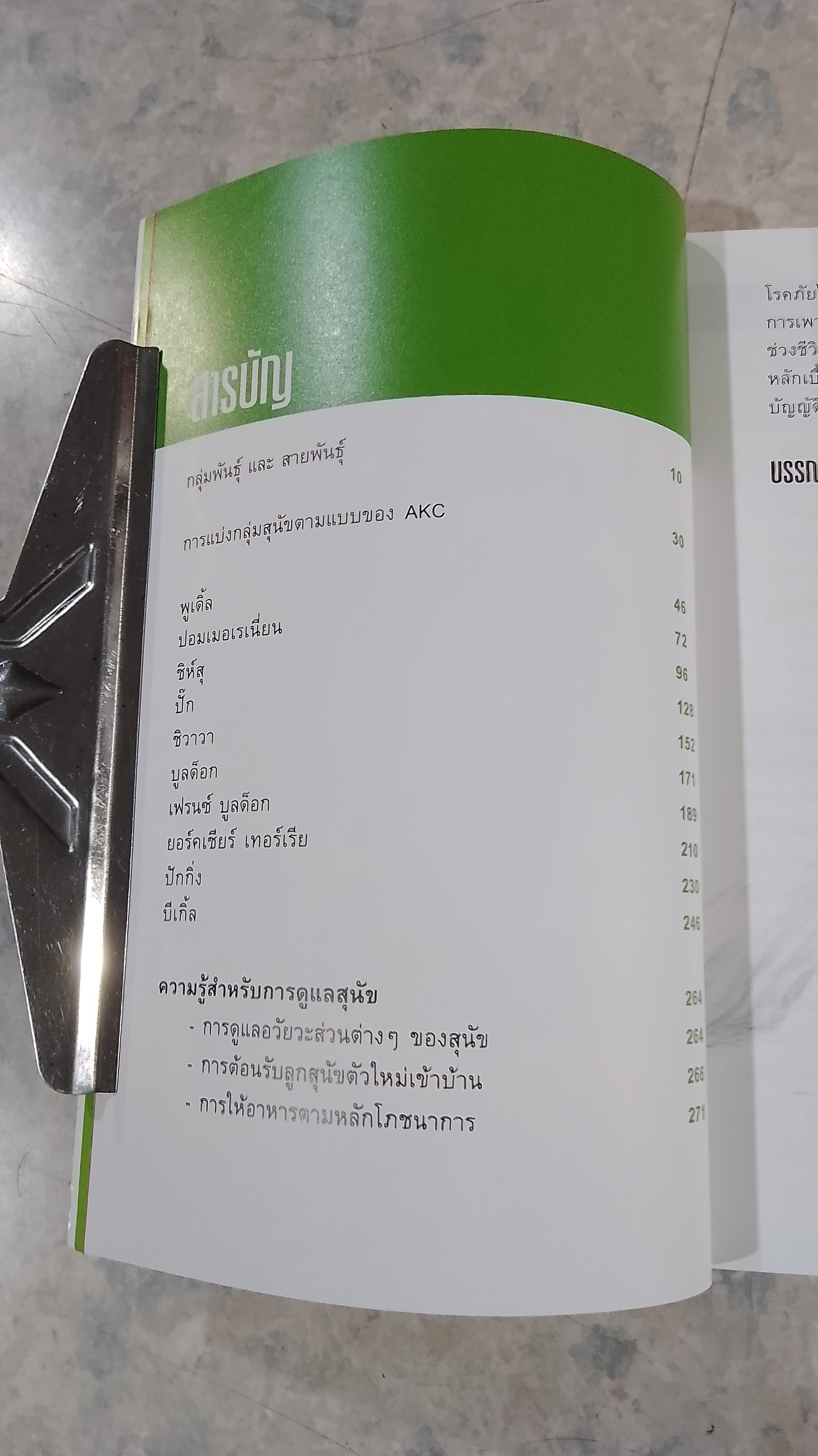 DOG IN THAILAND VOLUME 1 / ทวีศักดิ์