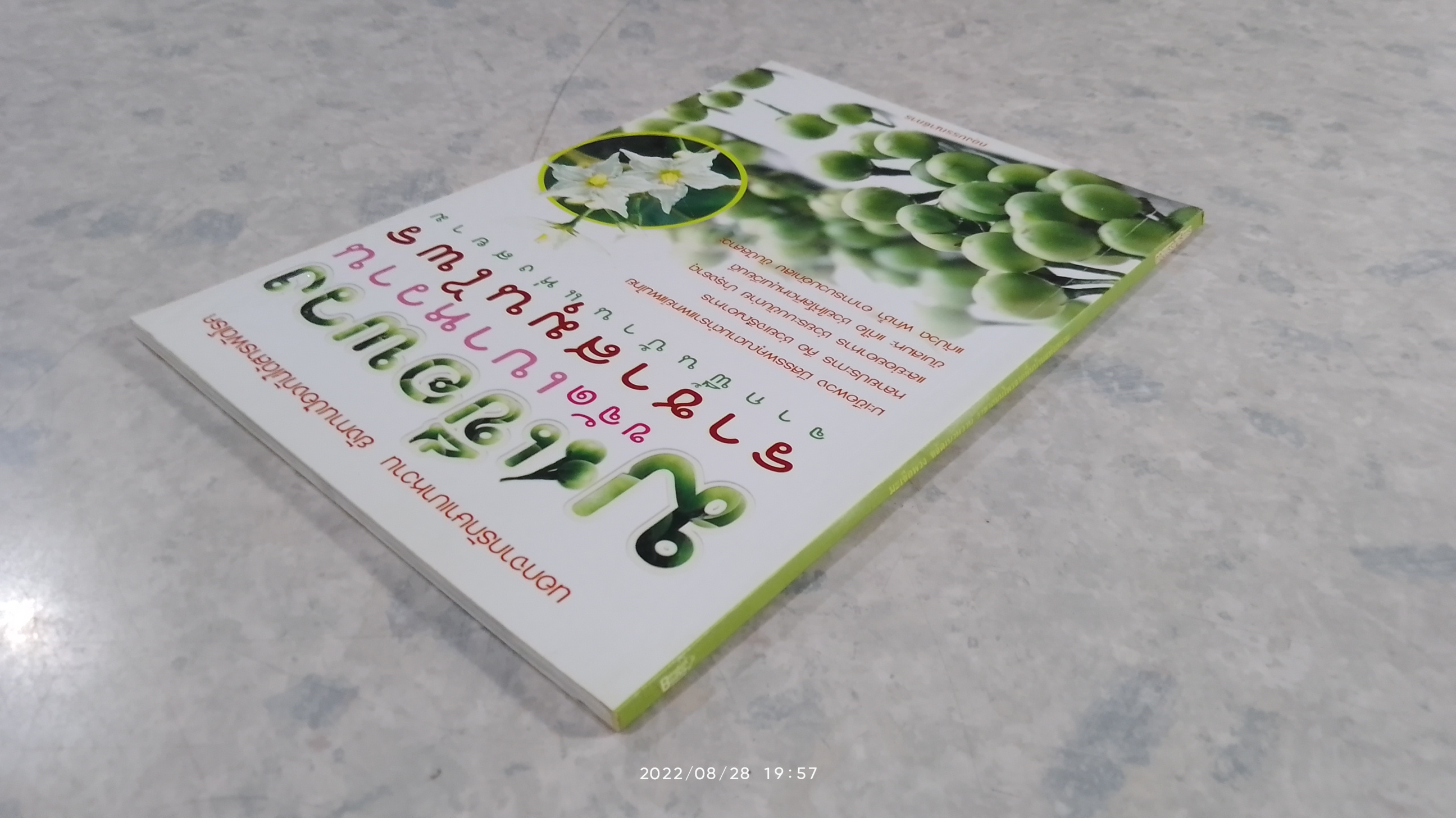 มะเขือพวง ขจัดเบาหวาน ราชาสมุนไพร จากพื้นบ้านแห่งสยาม