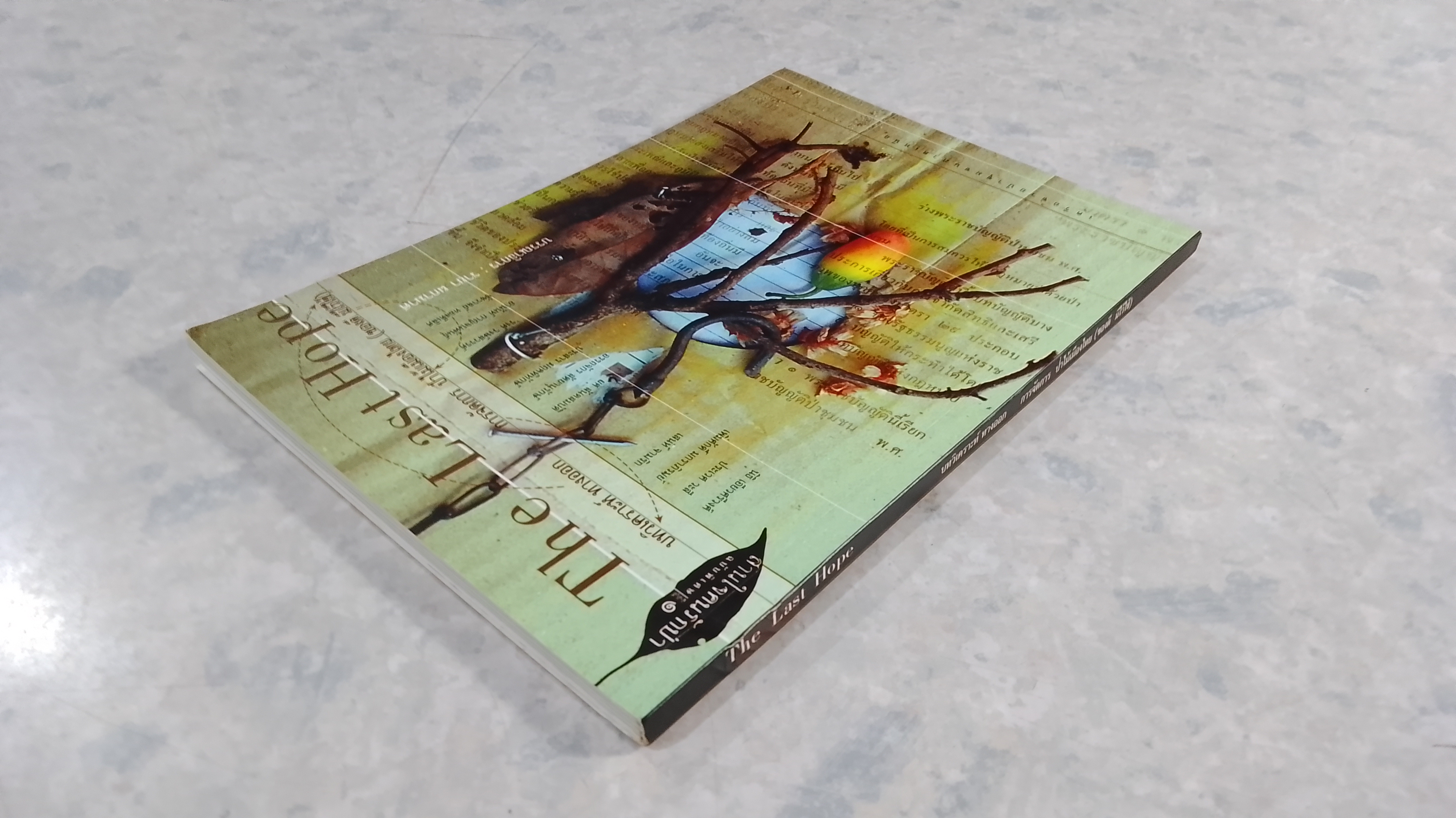 บทวิเคราะห์ ทางออก การจัดการ ป่าไม้เมืองไทย (ชองดี มีไว้ใช้) / รายา ผกามาศ