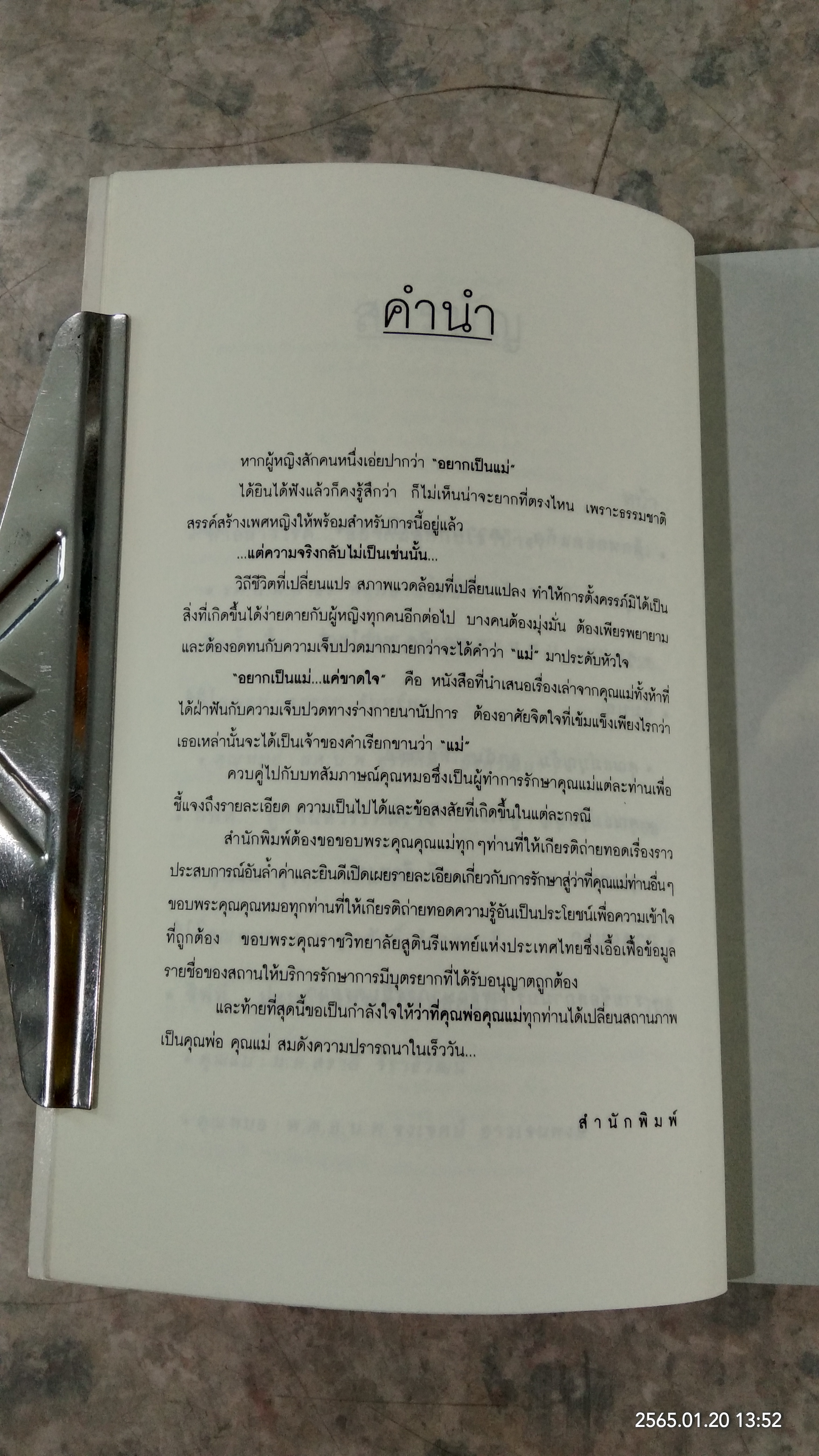 อยากเป็นแม่แค่ขาดใจ / ตรีชญา