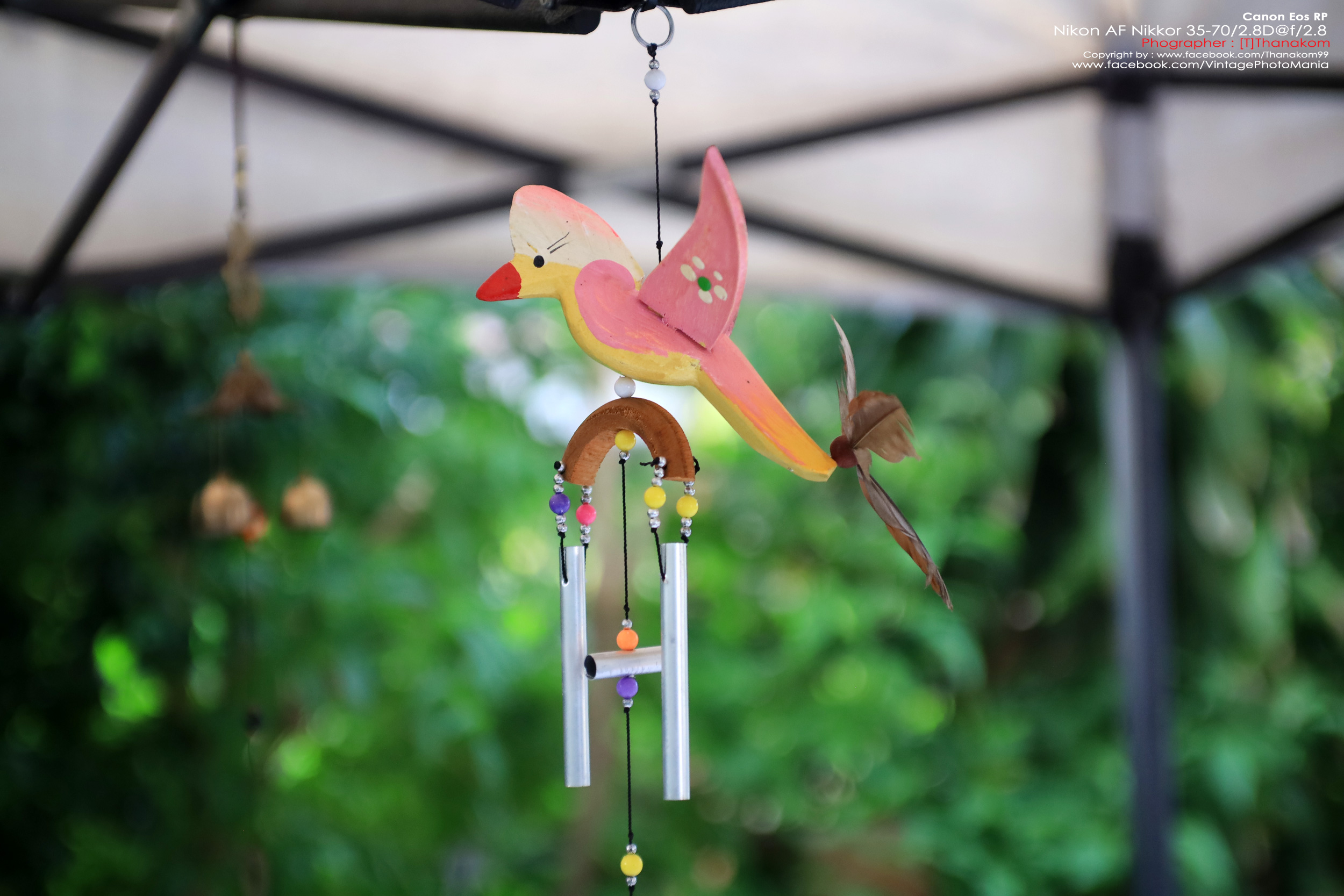 Nikon AF Nikkor 35-70/2.8 *Nikon AF-D Mount เลนส์ซูมเกรดโปรเอฟไม่ไหล