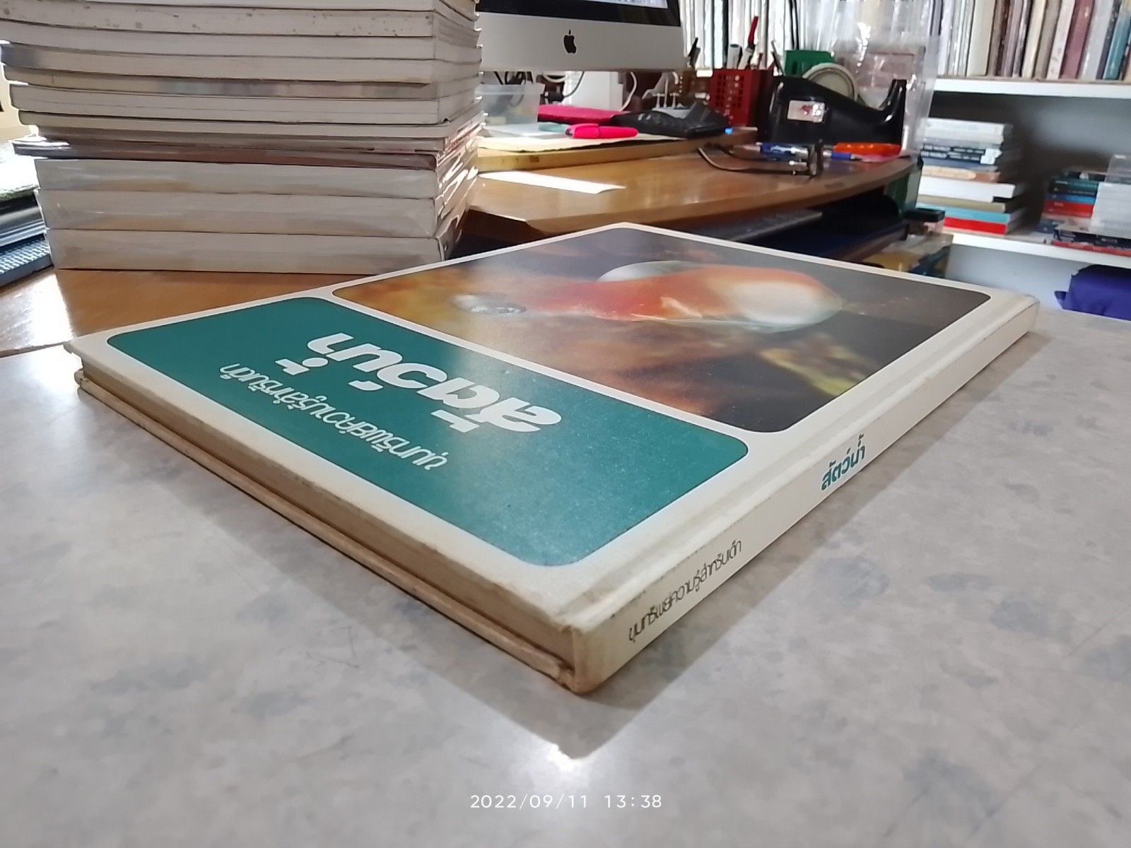 ขุมทรัพย์ความรู้สำหรับเด็ก : สัตว์น้ำ