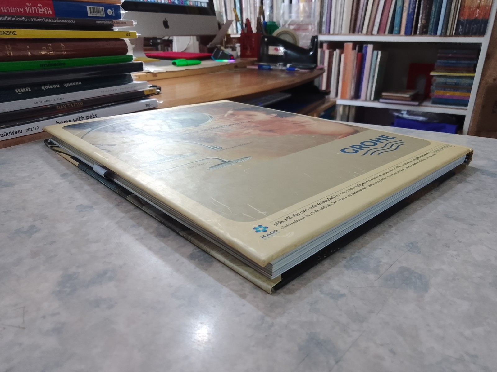 CONDO LIVING / บ้านและสวน