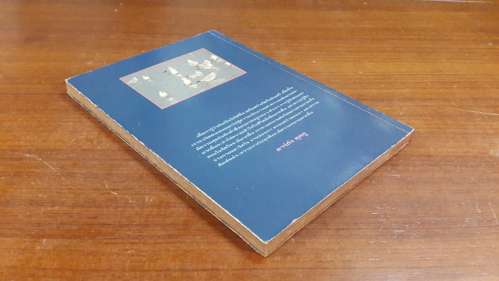 แห่งการงานอันเบิกบาน / ตาร์ถัง ตุลกู รินโพเช่