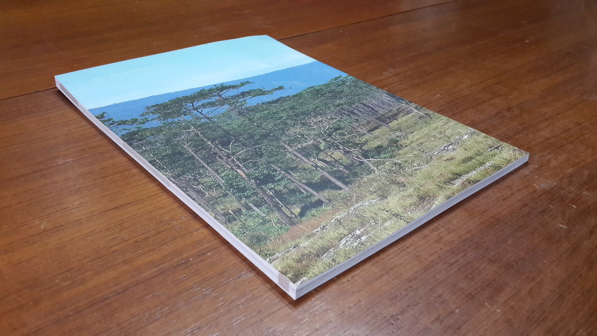 ความหลากหลายและการใช้ประโยชน์ พืชเมล็ดเปลือยในกลุ่มป่าภูเขียว-น้ำหนาว