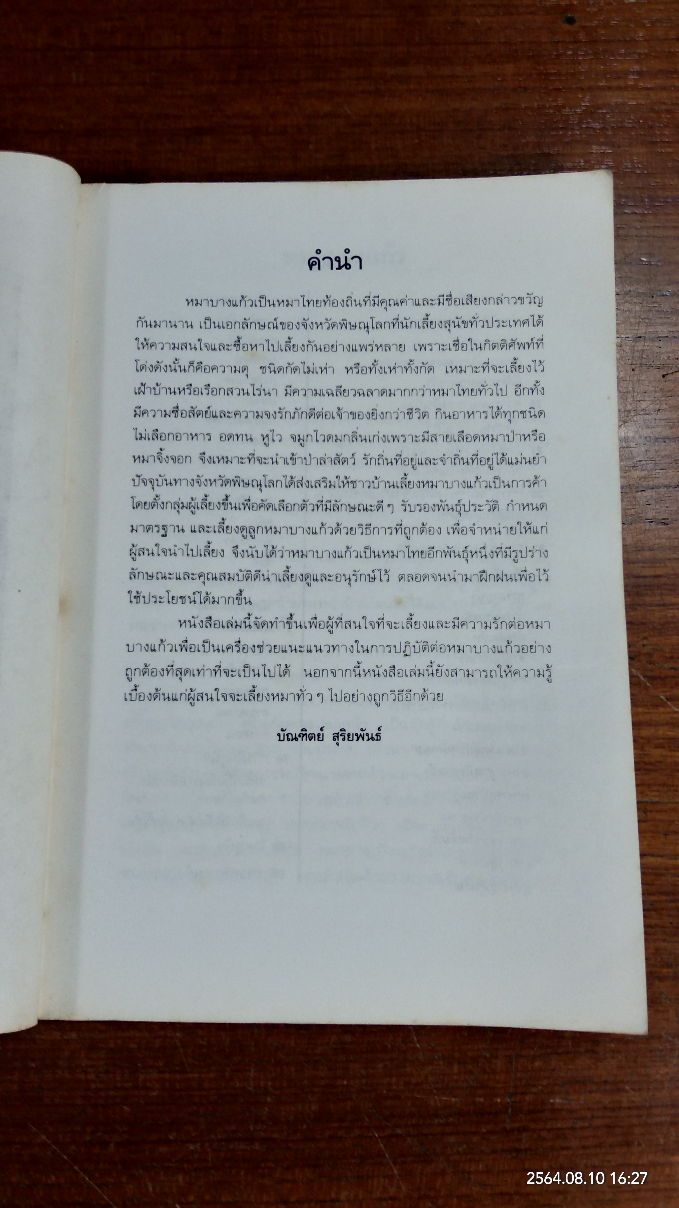 หมาบางแก้ว / บัณฑิตย์ สุริยพันธ์