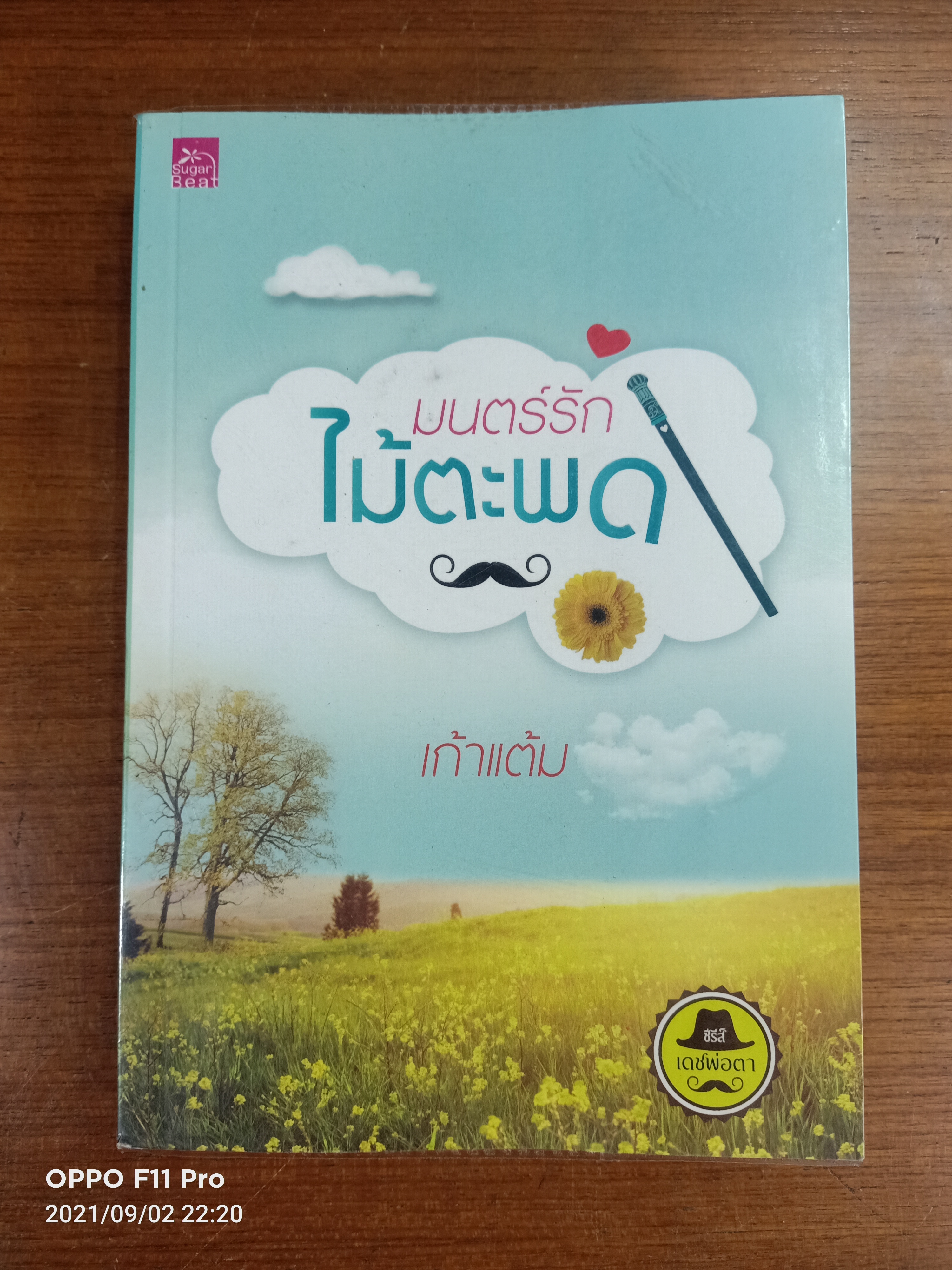 มนตร์รักไม้ตะพด / เก้าแต้ม