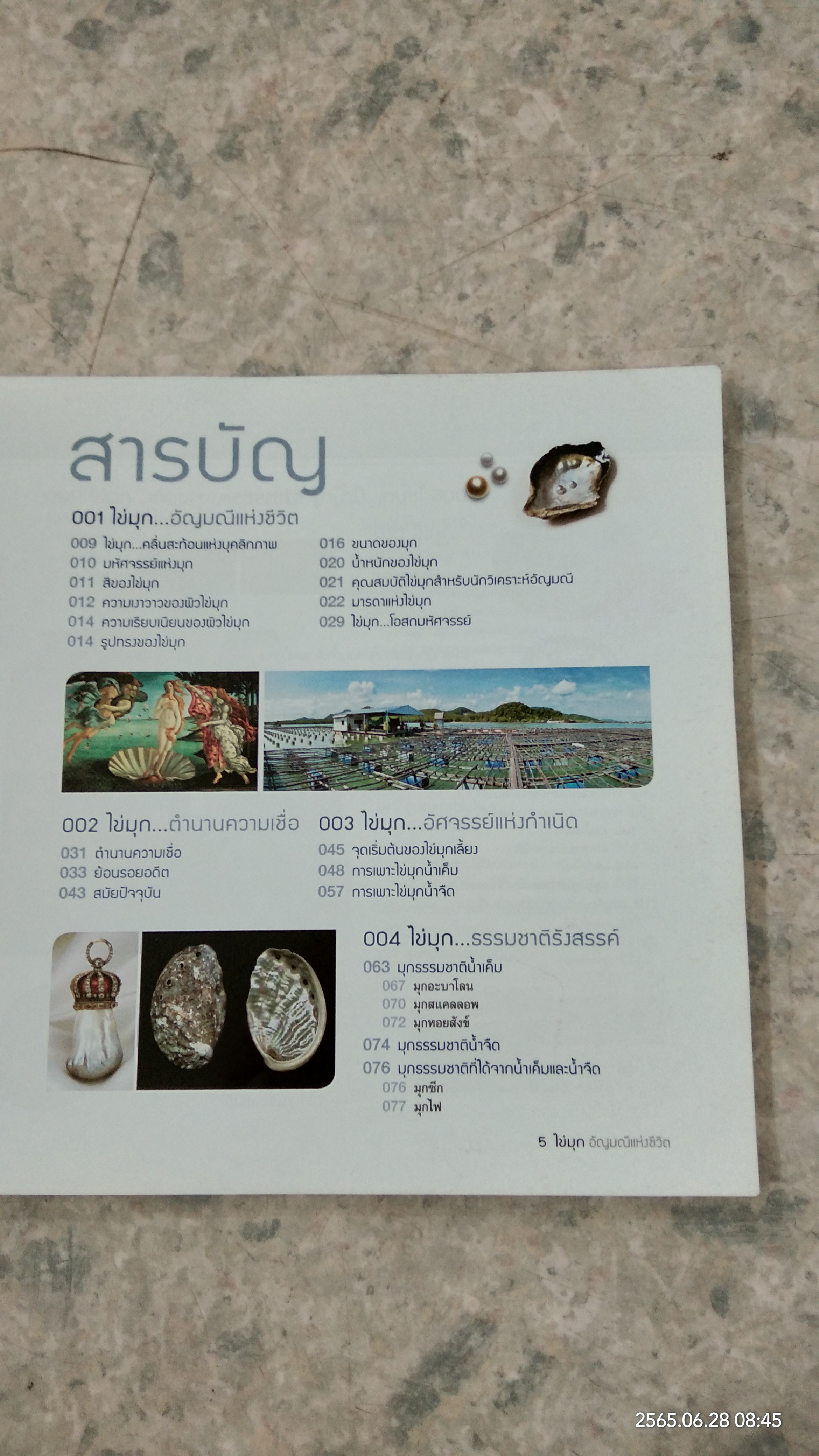 ไข่มุก...อัญมณีแห่งชีวิต / อภัสมัย พยัคฆาภรณ์