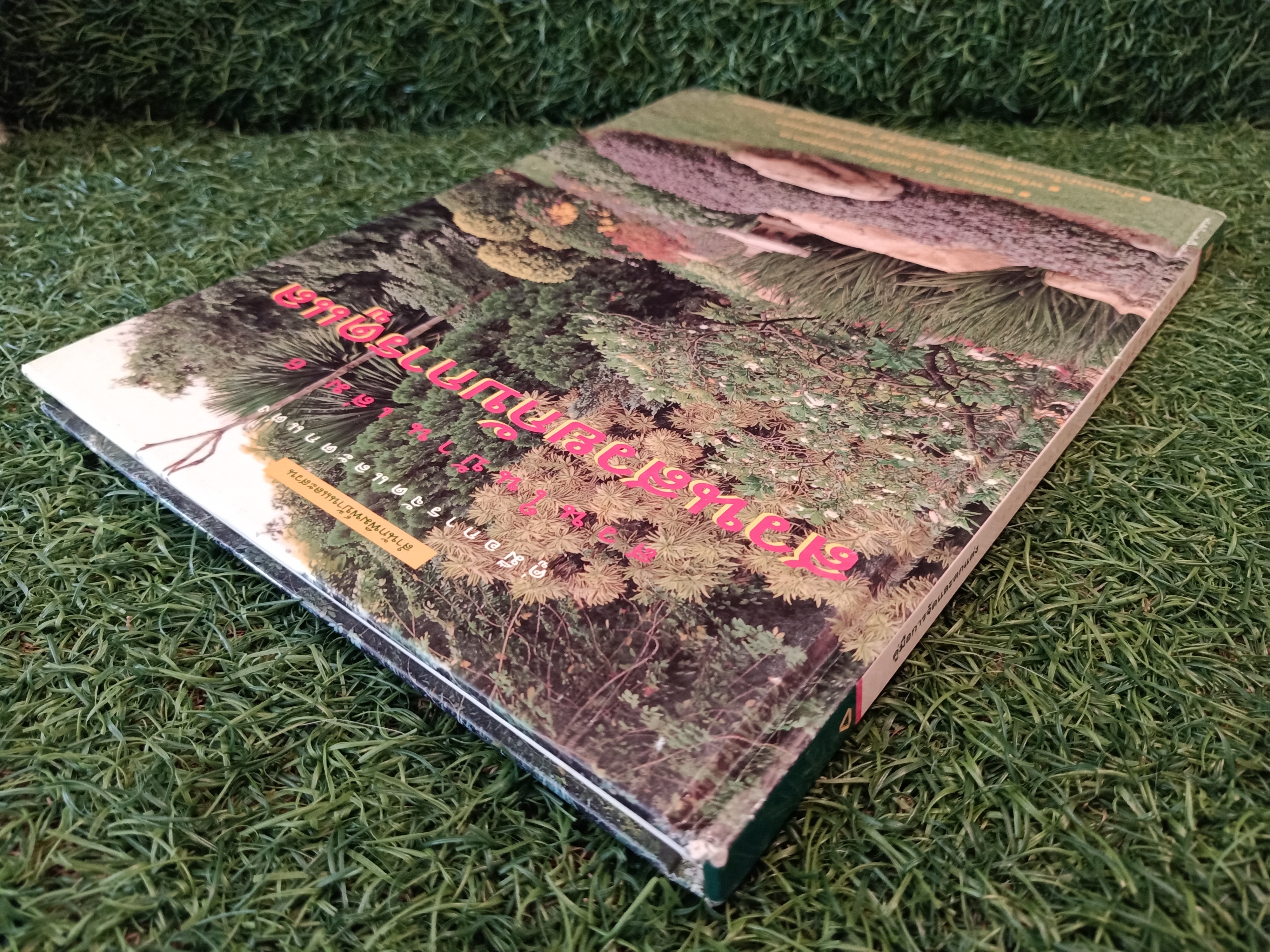 สวนในบ้าน เล่ม 6 สวนสวยกับการดูแล / บ้านและสวน