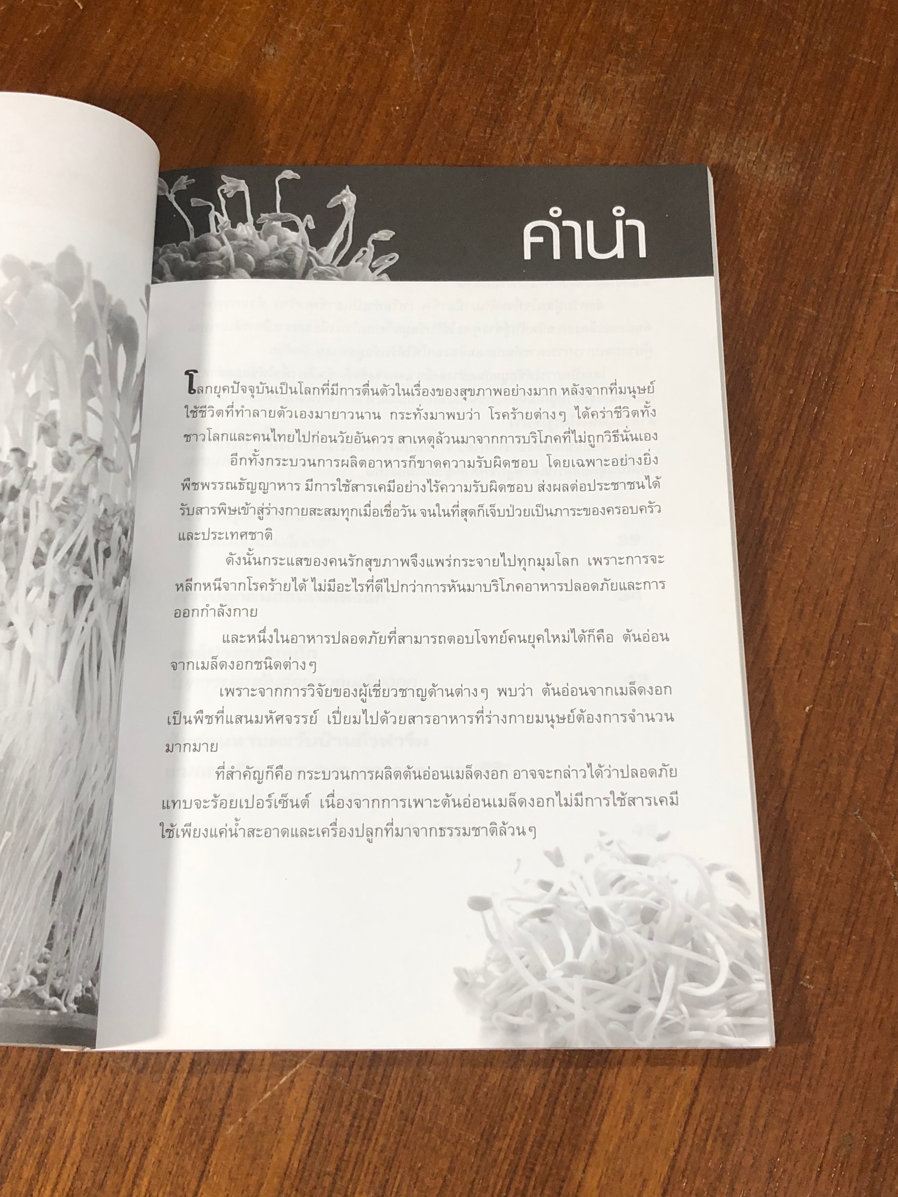 กลยุทธ์การเพาะปลูก ต้นอ่อน เมล็ดงอก ผักสุขภาพ กินคลีน เพาะง่าย ขายรวย