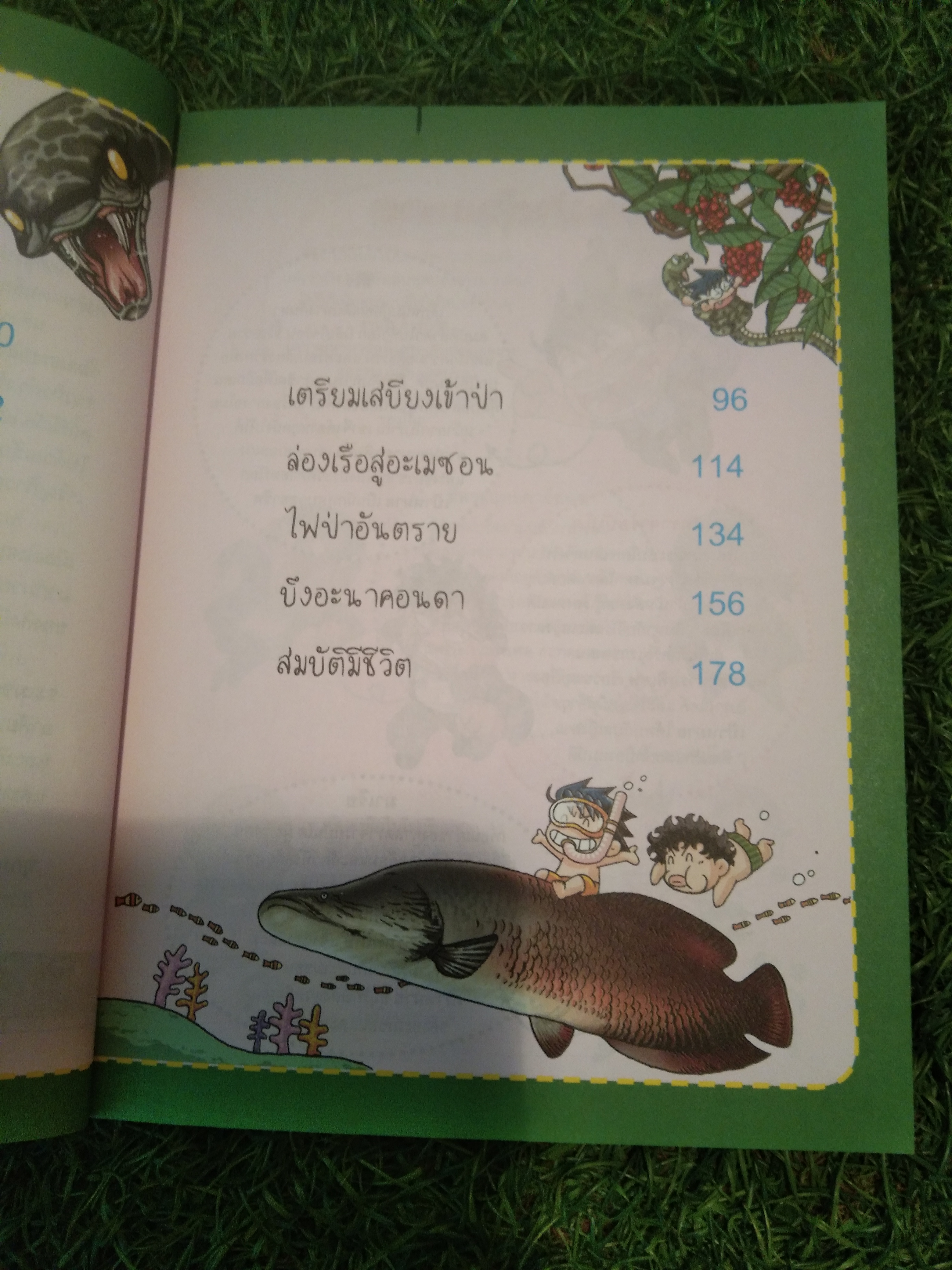 ล่าขุมทรัพย์ สุดขอบฟ้า ใน บราซิล / Gomdori co.