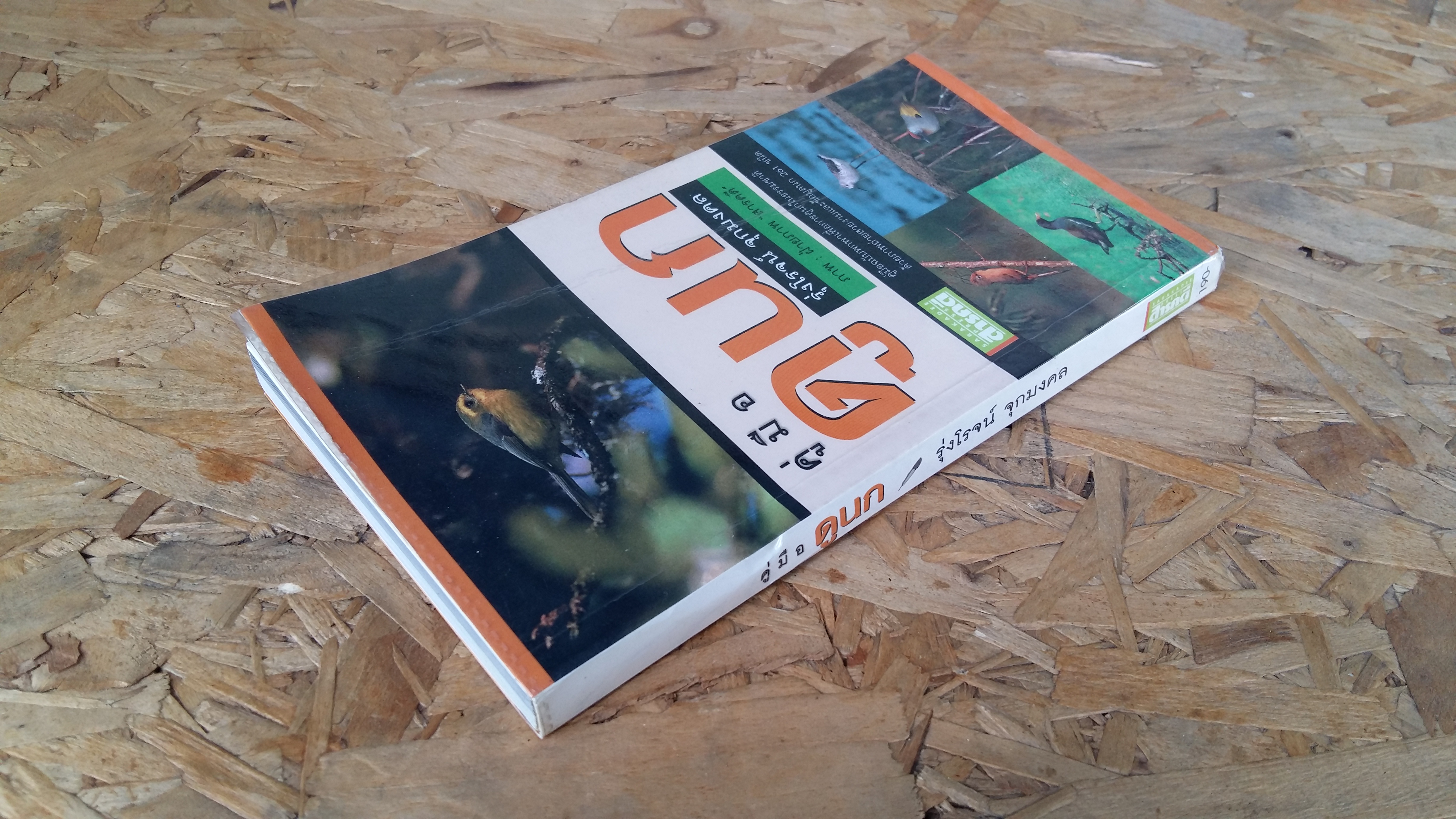 คู่มือดูนก / รุ่งโรจน์ จุกมงคล