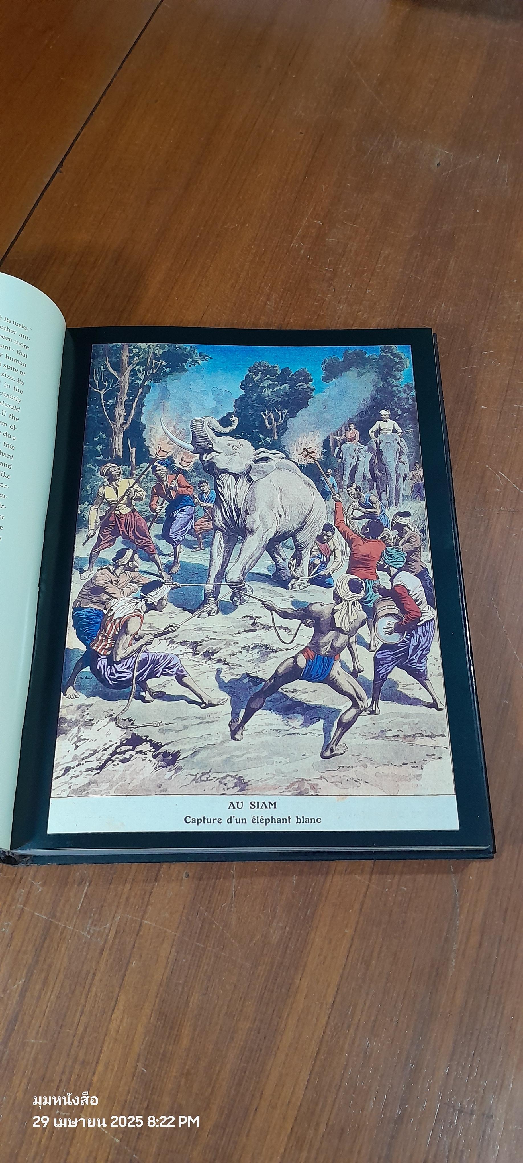 The Elephant in Thai Life and Legend (สภาพไม่สมบูรณ์)