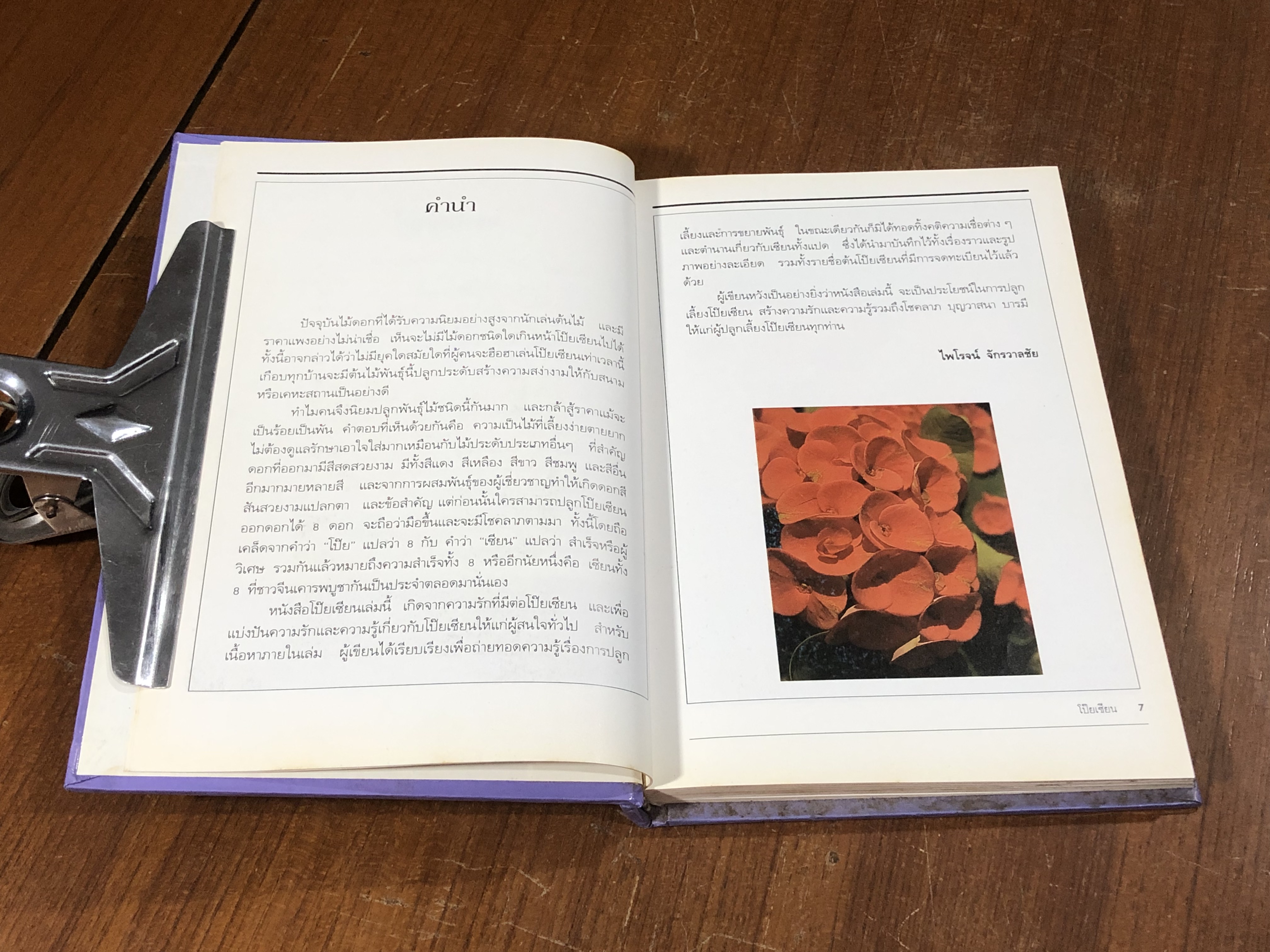 โป๊ยเซียน ไม้ดอกเสี่ยงทาย ไม้แห่งโชคลาภ / ไพโรจน์ จักรวาลชัย